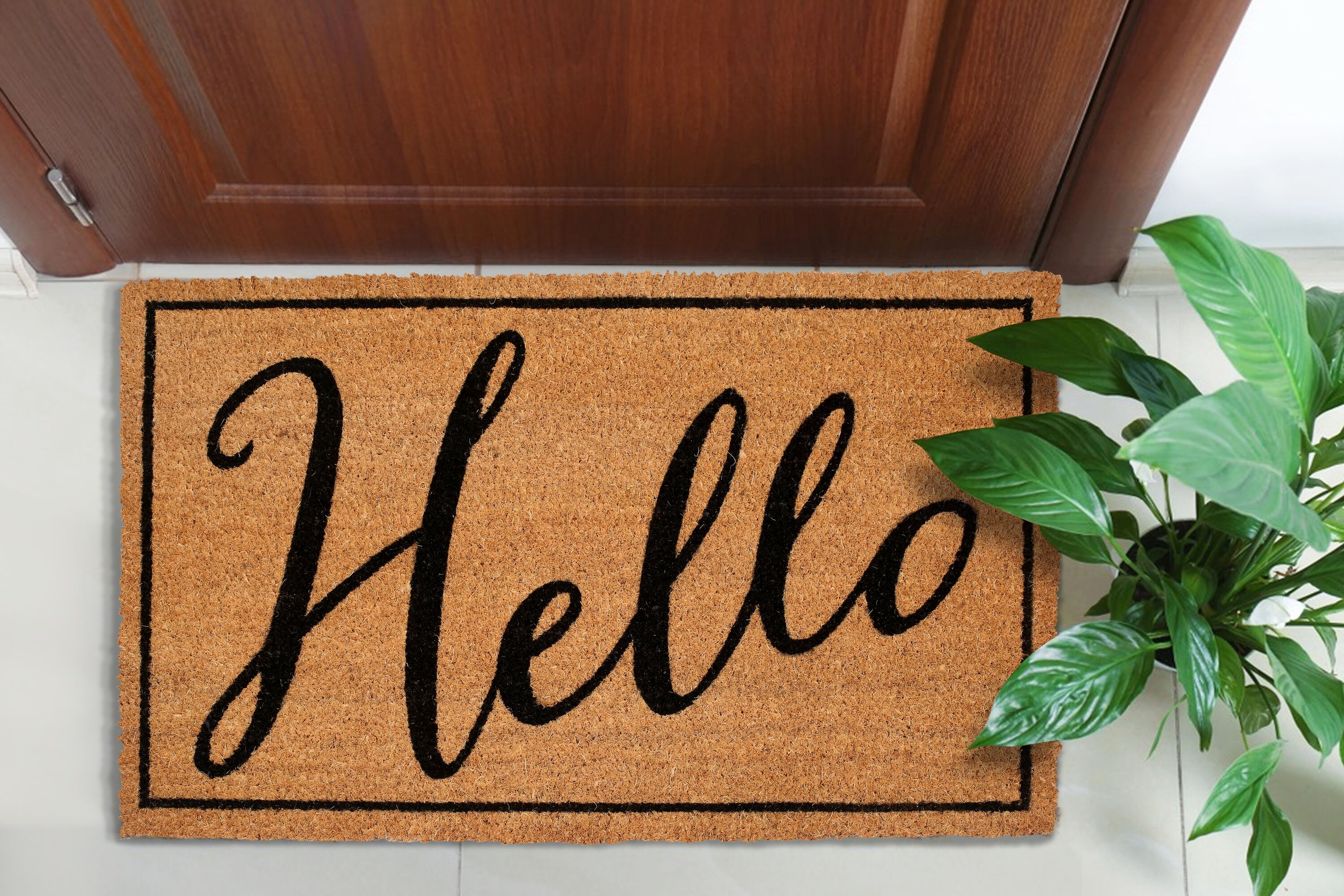 Style Selections 2-ft x 3-ft Multi Rectangular Indoor Welcome Door Mat in  the Mats department at