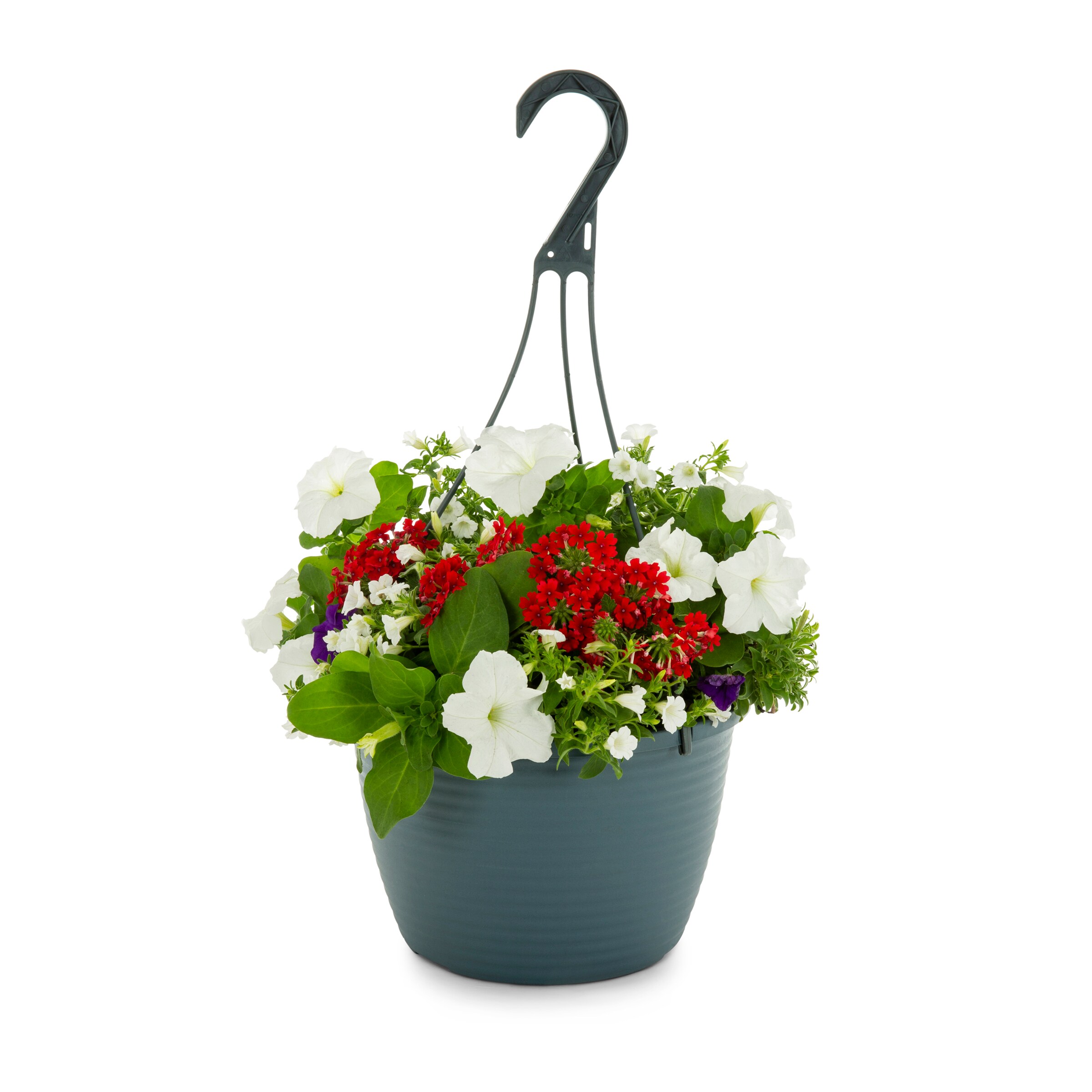 Lowe S Multicolor Mixed Annuals In 1 5 Gallons Hanging Basket At Lowes Com   48500557 