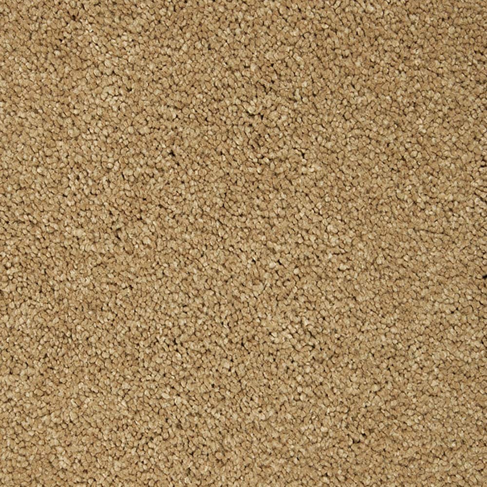 STAINMASTER PetProtect STP55-L024-0808 (Sample) Purrfectly Pampered Siesta Sands Brown 60-oz sq yard Triexta Textured Indoor Carpet