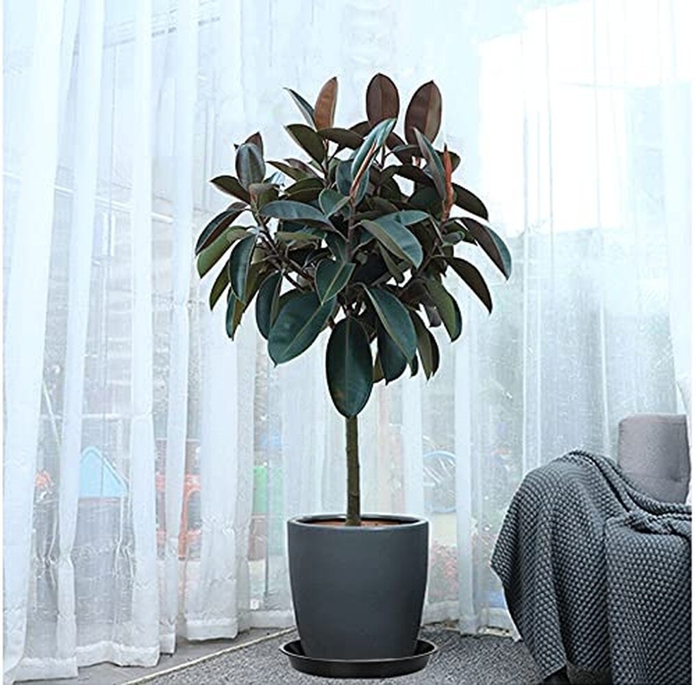Adrinfly LAD0520D017 Planter-Window-Box - View #4