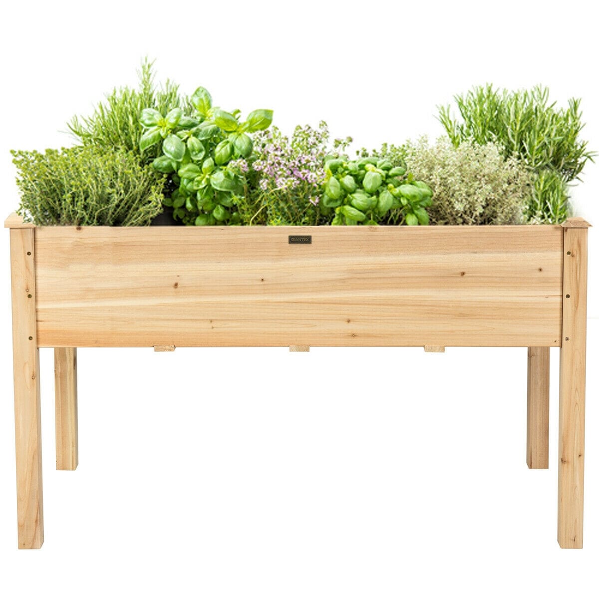 WELLFOR ORQ-744RE Raised-Planter-Boxes - View #4