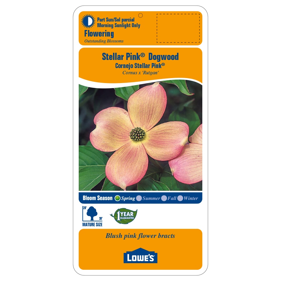 Lowe's 8.86513070569E11 trees - View #2