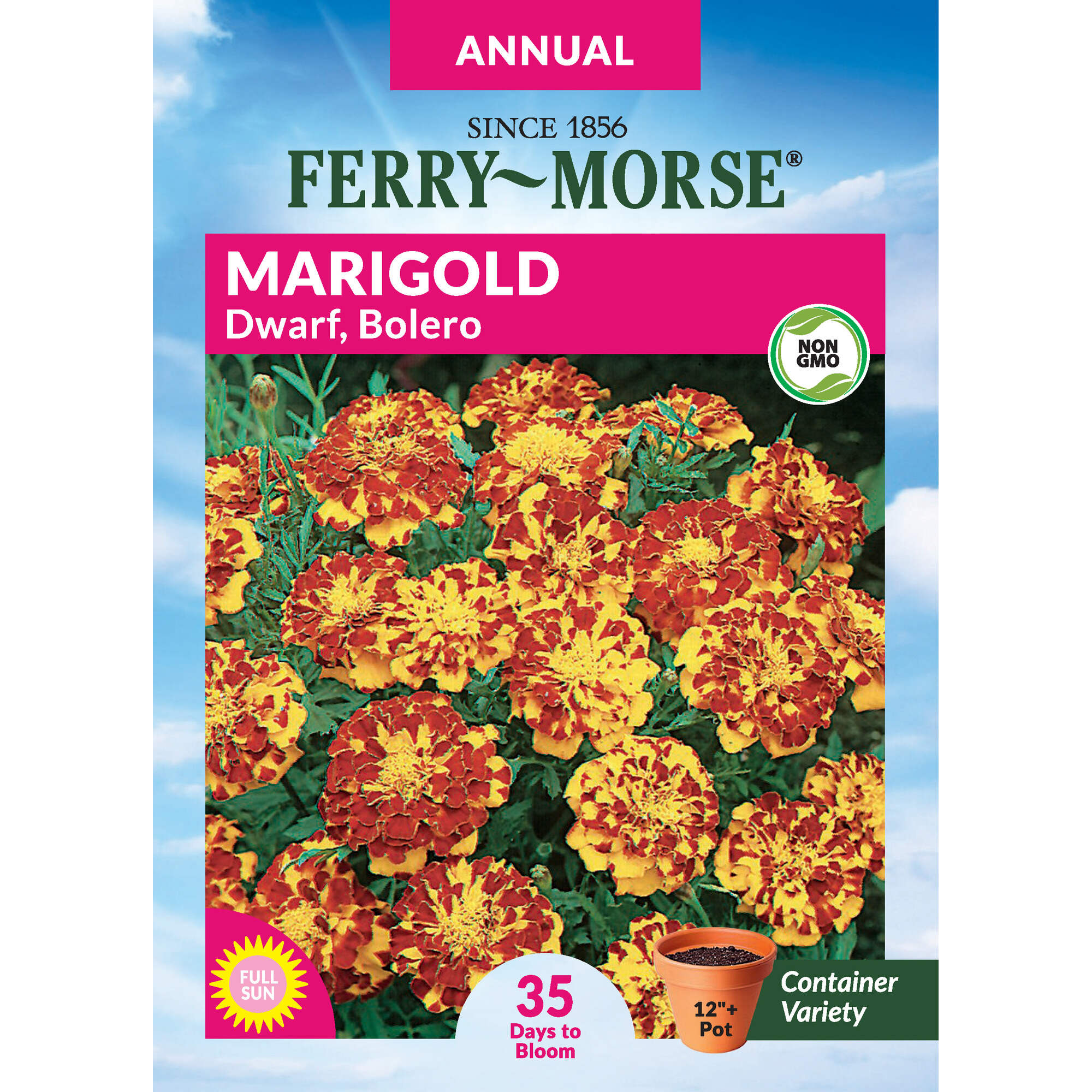 Marigold Seeds 300 Milligram(s)