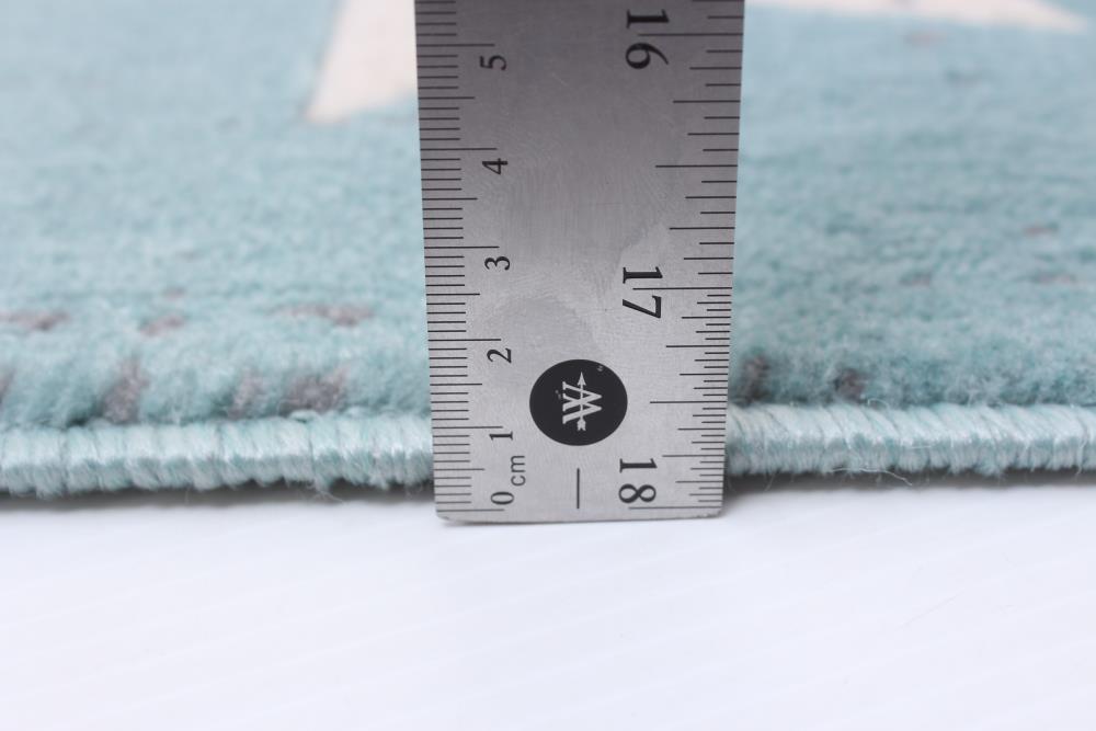 ECARPETGALLERY 351462 rugs - View #6