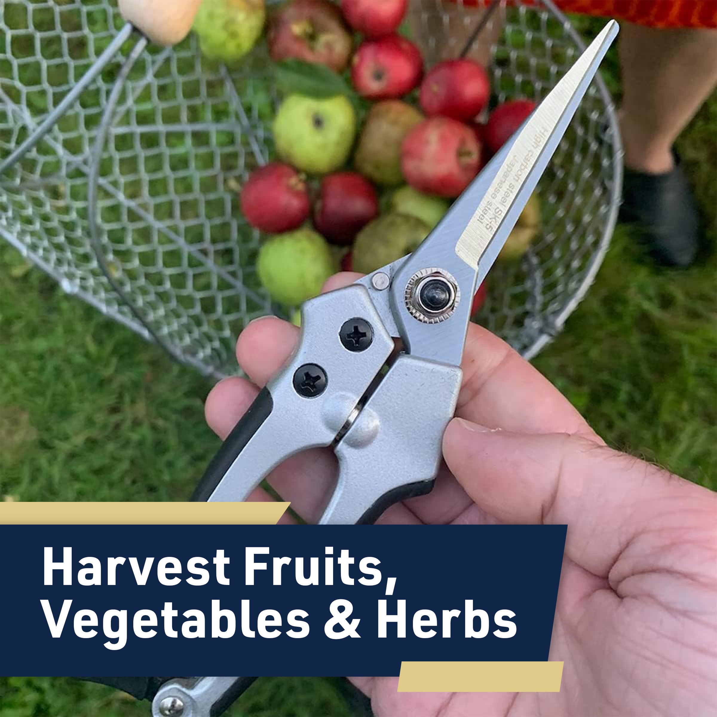 Kings County tools GW23K05-12 Hand-Pruners - View #4