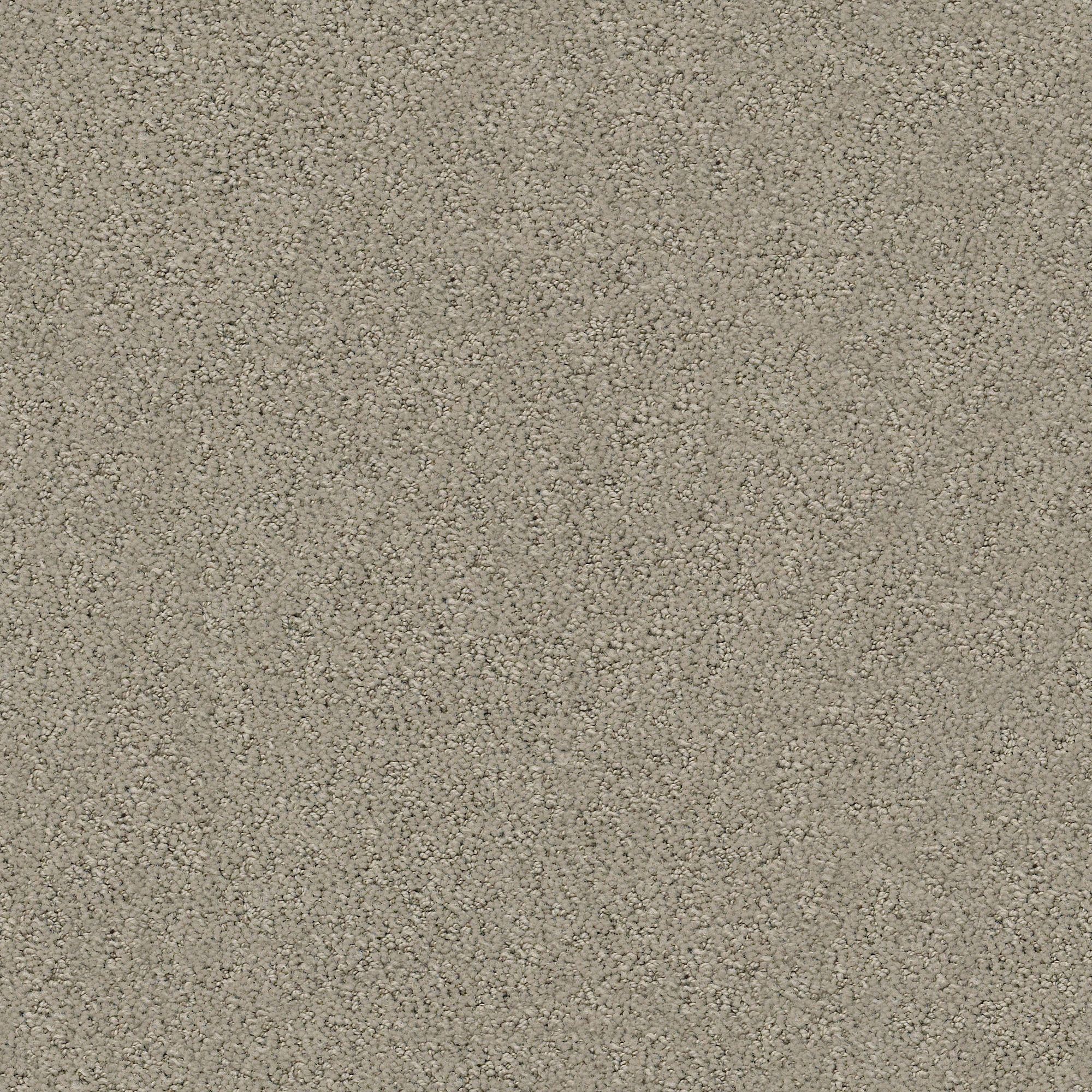 STAINMASTER PetProtect 7L884 - 700 - SAMP (Sample) Happy Tails Artisan Taupe Brown 29.2-oz sq yard Nylon Pattern Indoor Carpet
