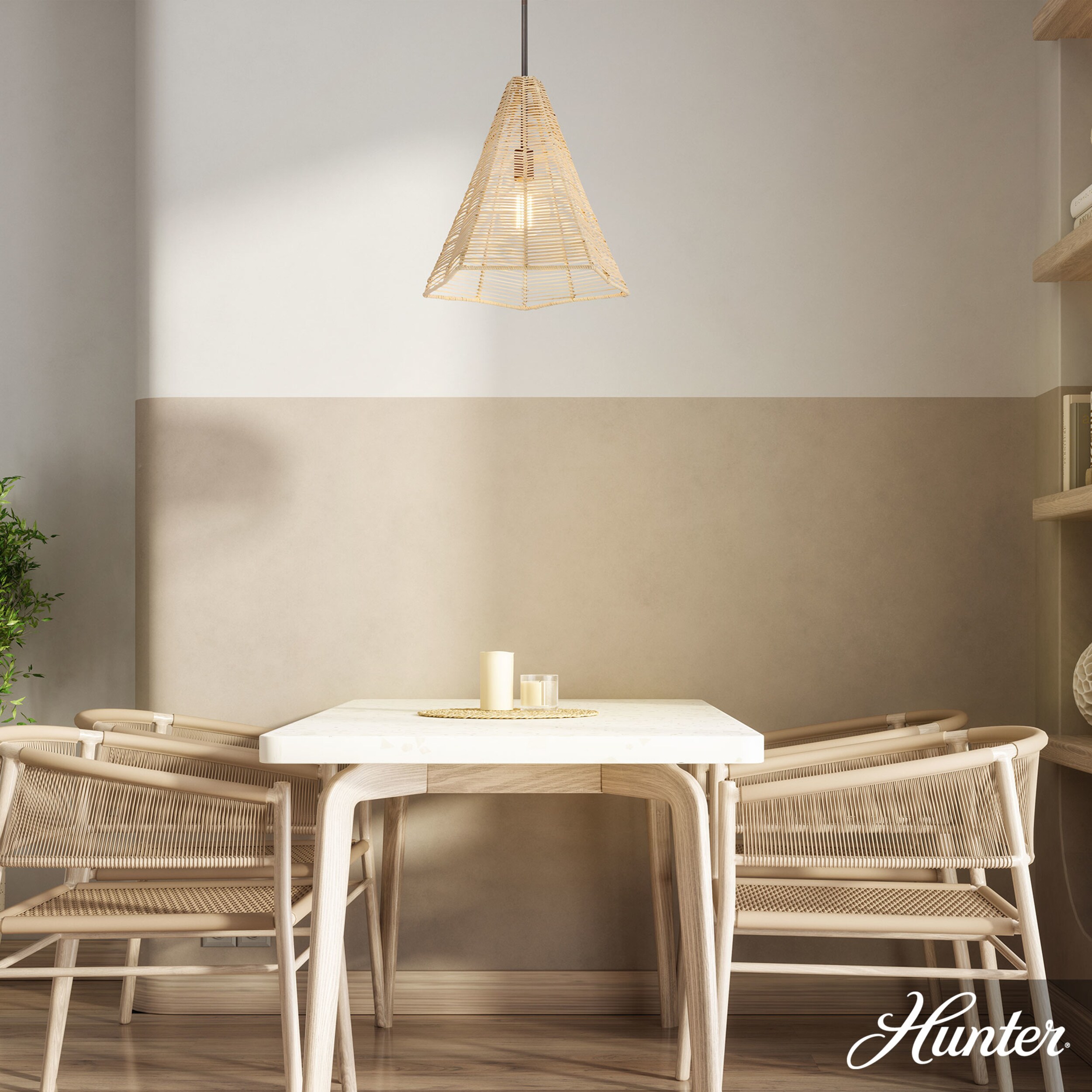 Hunter 48090 Pendant-Lights - View #2