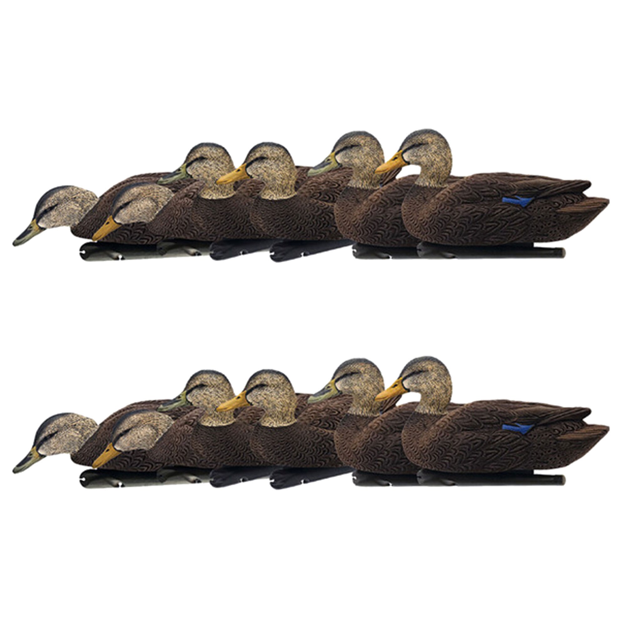  Avian X 408554 18.3 x 15.8 x 12.3 Inche(s) Decoy 12 -Pack