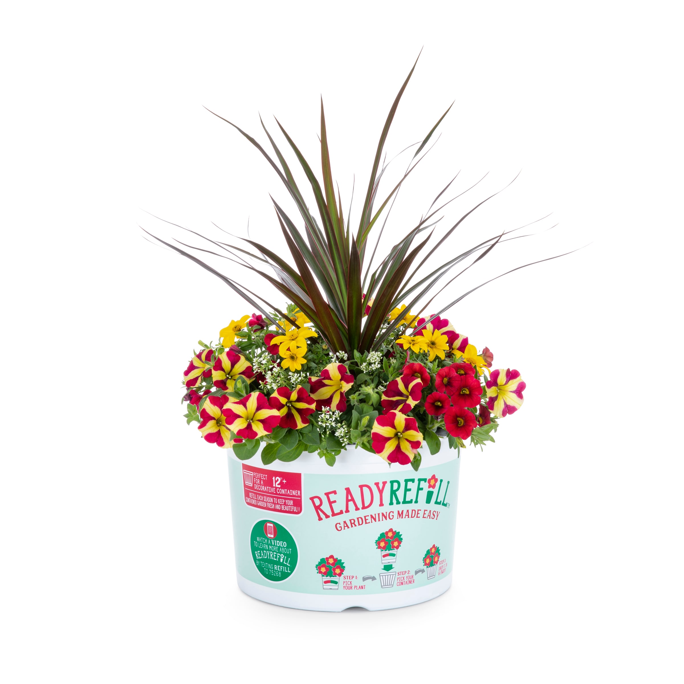 Ready Refill 3159429 Multicolor Mixed Annuals Combinations in 2.50 Gallon(s) Pot 1 -Pack