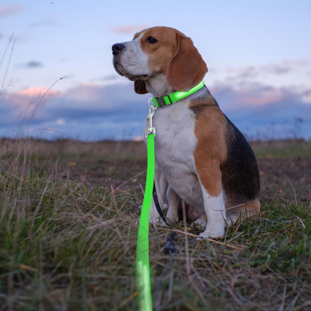 Pet Pal 573995VRS Leashes-Leads - View #6