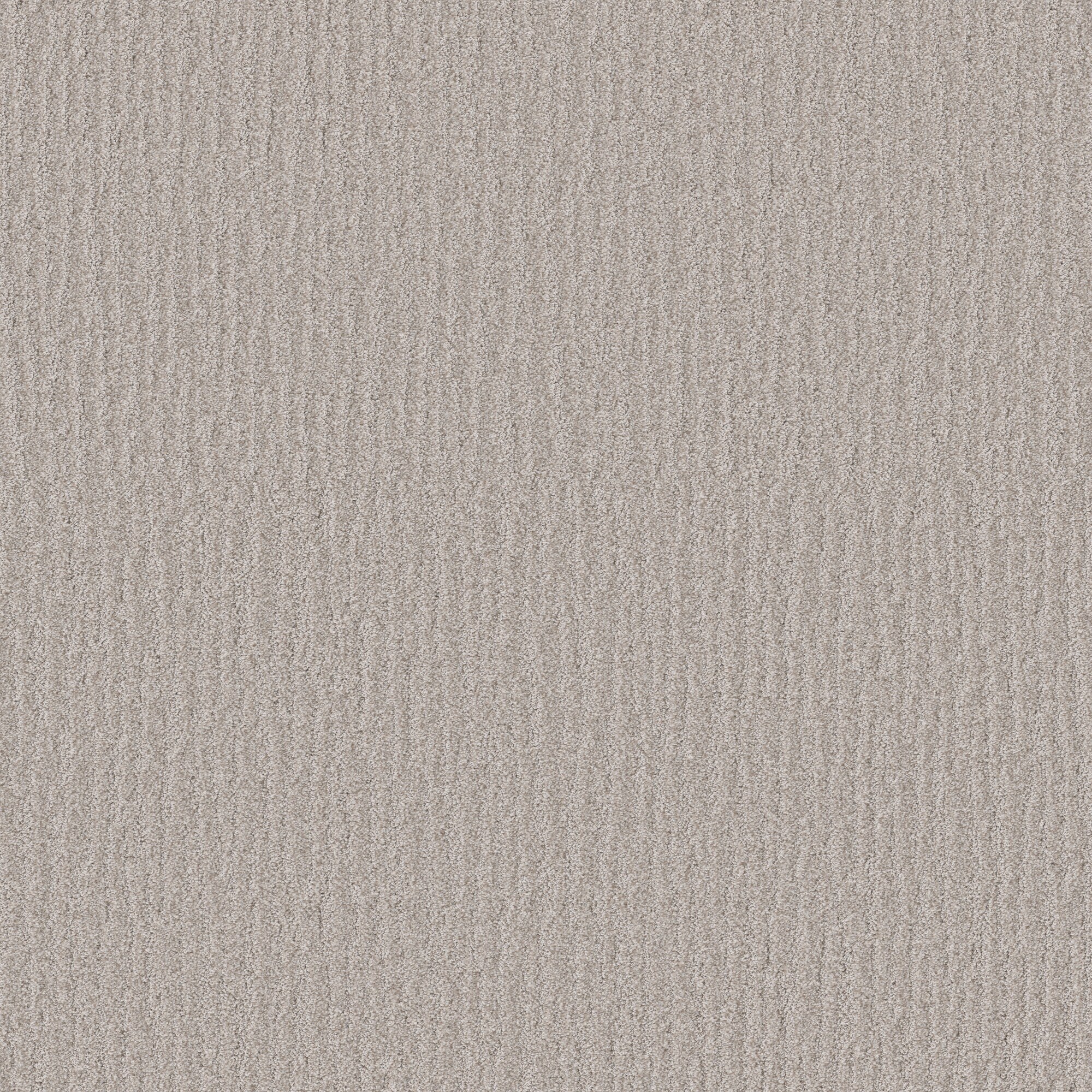STAINMASTER PetProtect 7L933-113-SAMP (Sample) with LeakDefense No Worries Taffeta Tan 44-oz sq yard Polyester Pattern Indoor Carpet