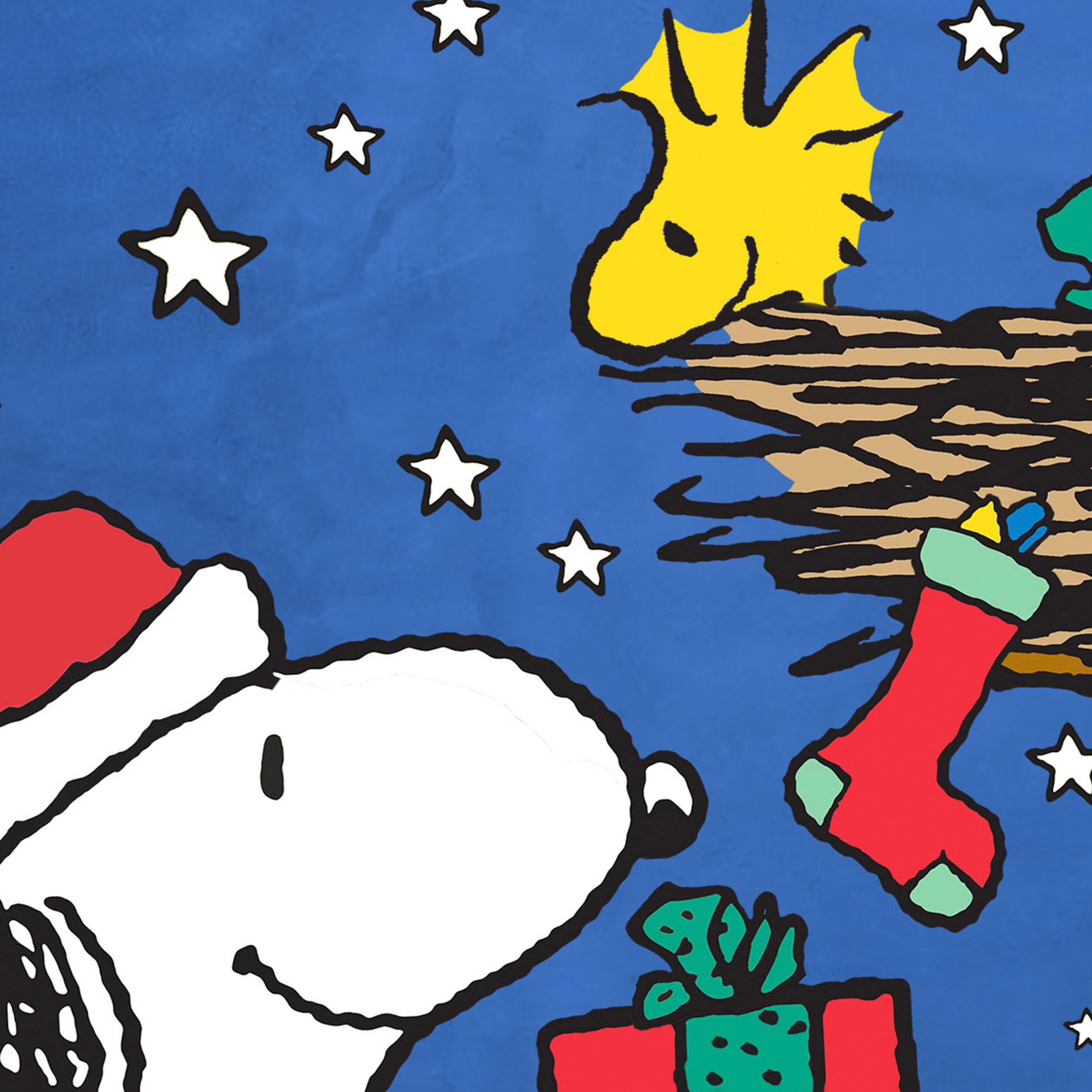 Peanuts 10-1253-51F-01 Decorative-Banner-Flags - View #4