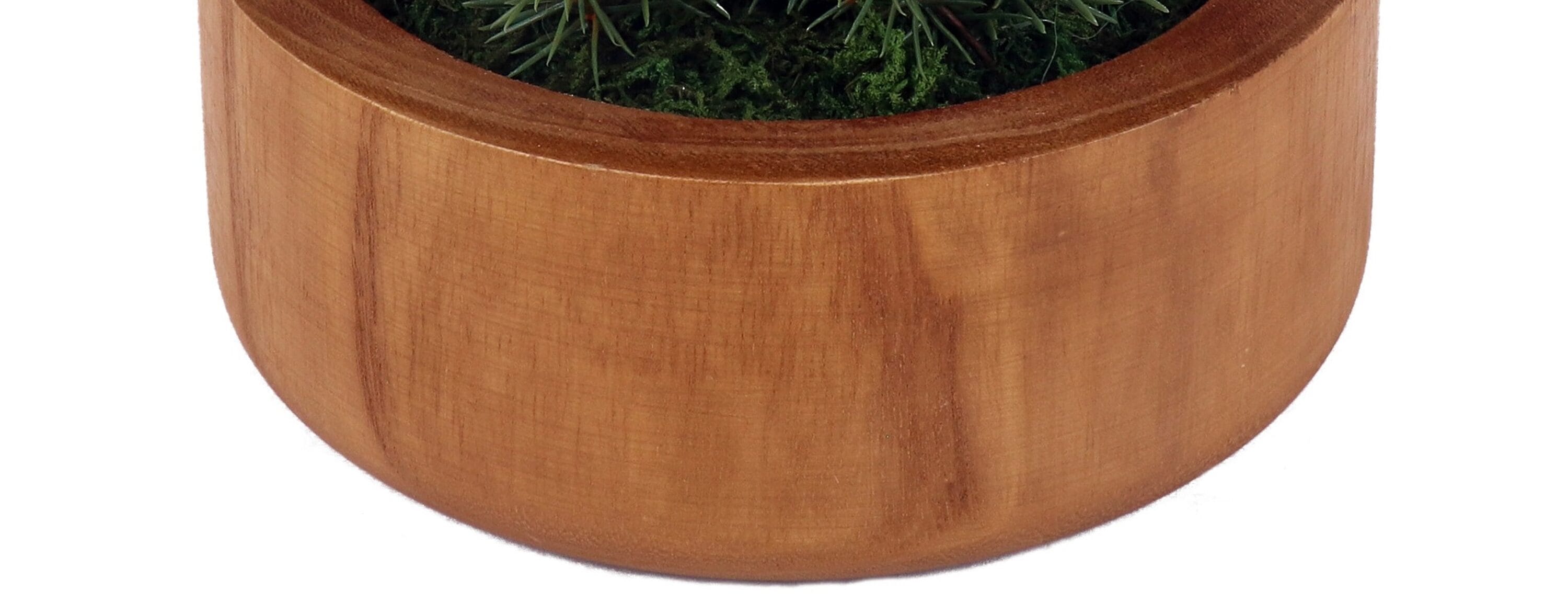 allen + roth 21LOW250 Artificial-Plants-Trees - View #11