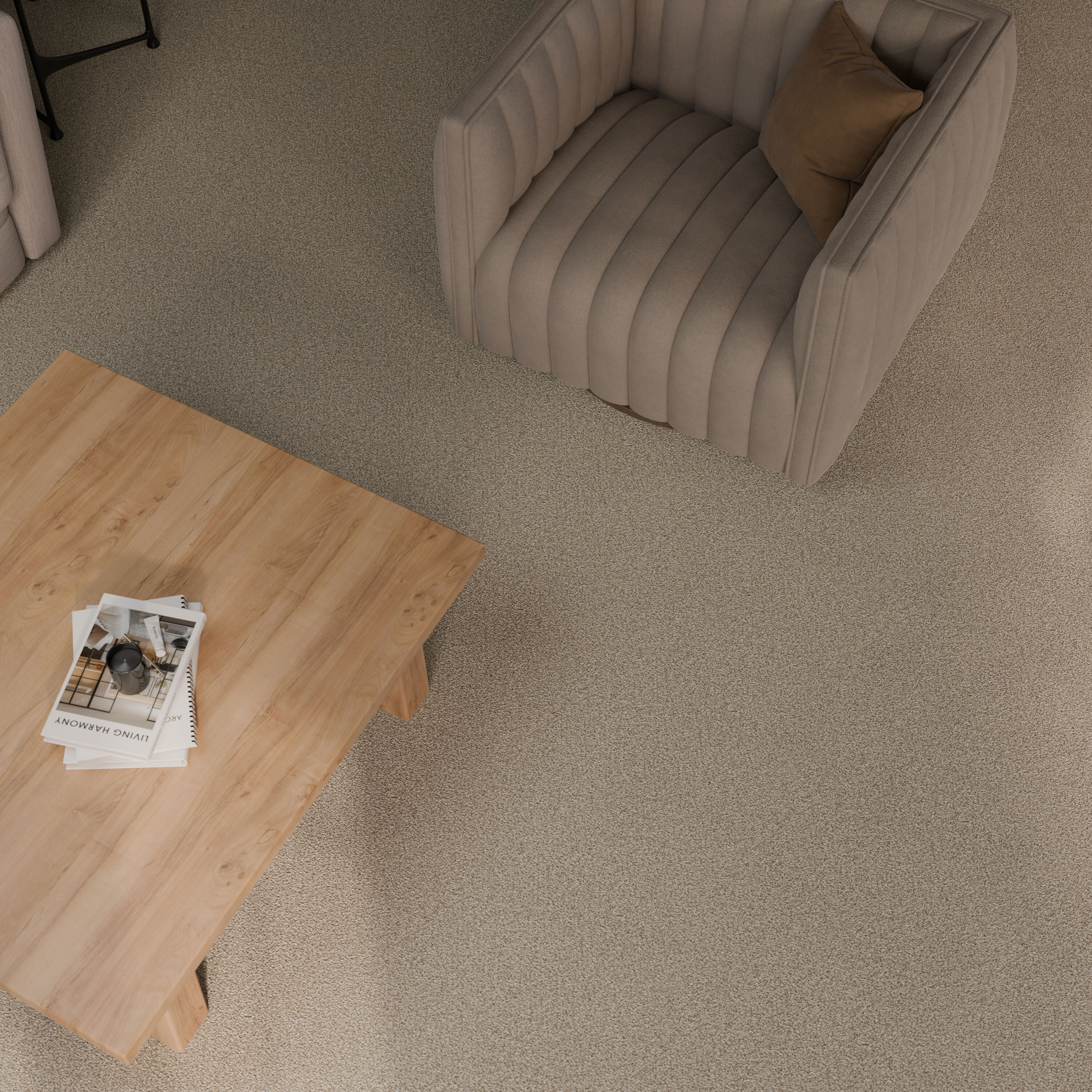 STAINMASTER 7L956-106-SAMP Carpet-Samples - View #5