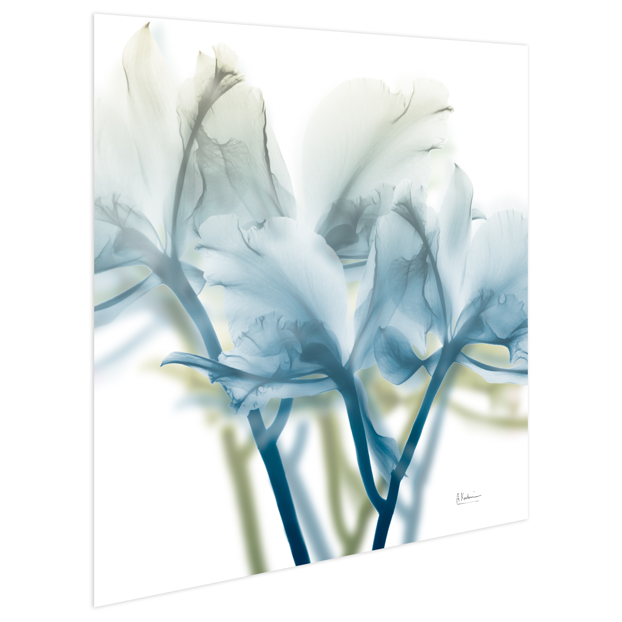 Empire Art Direct TMP-AK214C-2424 Wall-Art - View #2