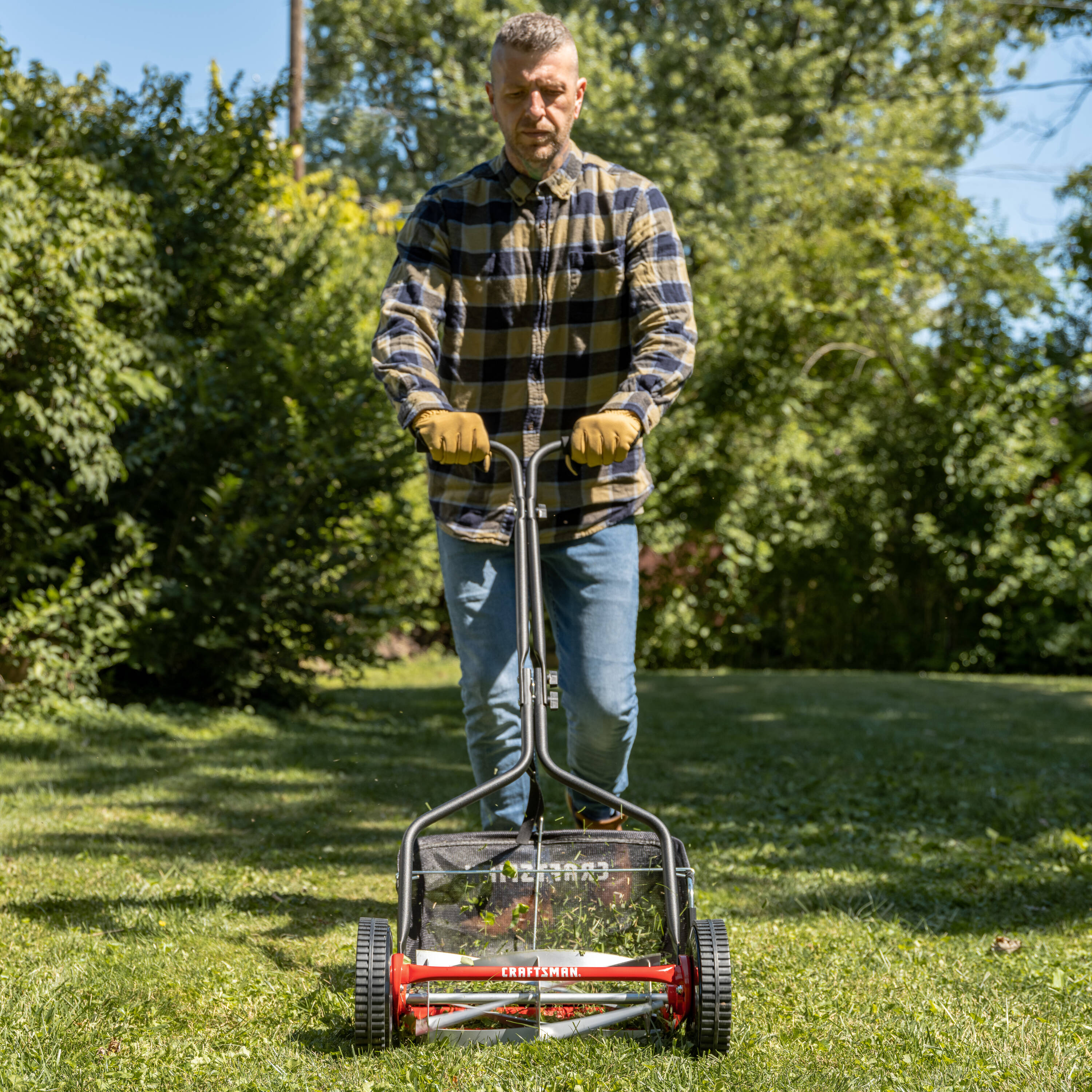reel mower « The Cheap Vegetable Gardener