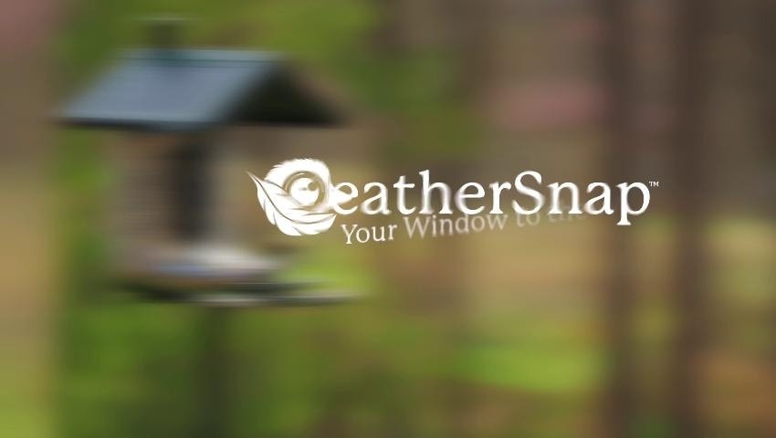 A thumbnail for the video