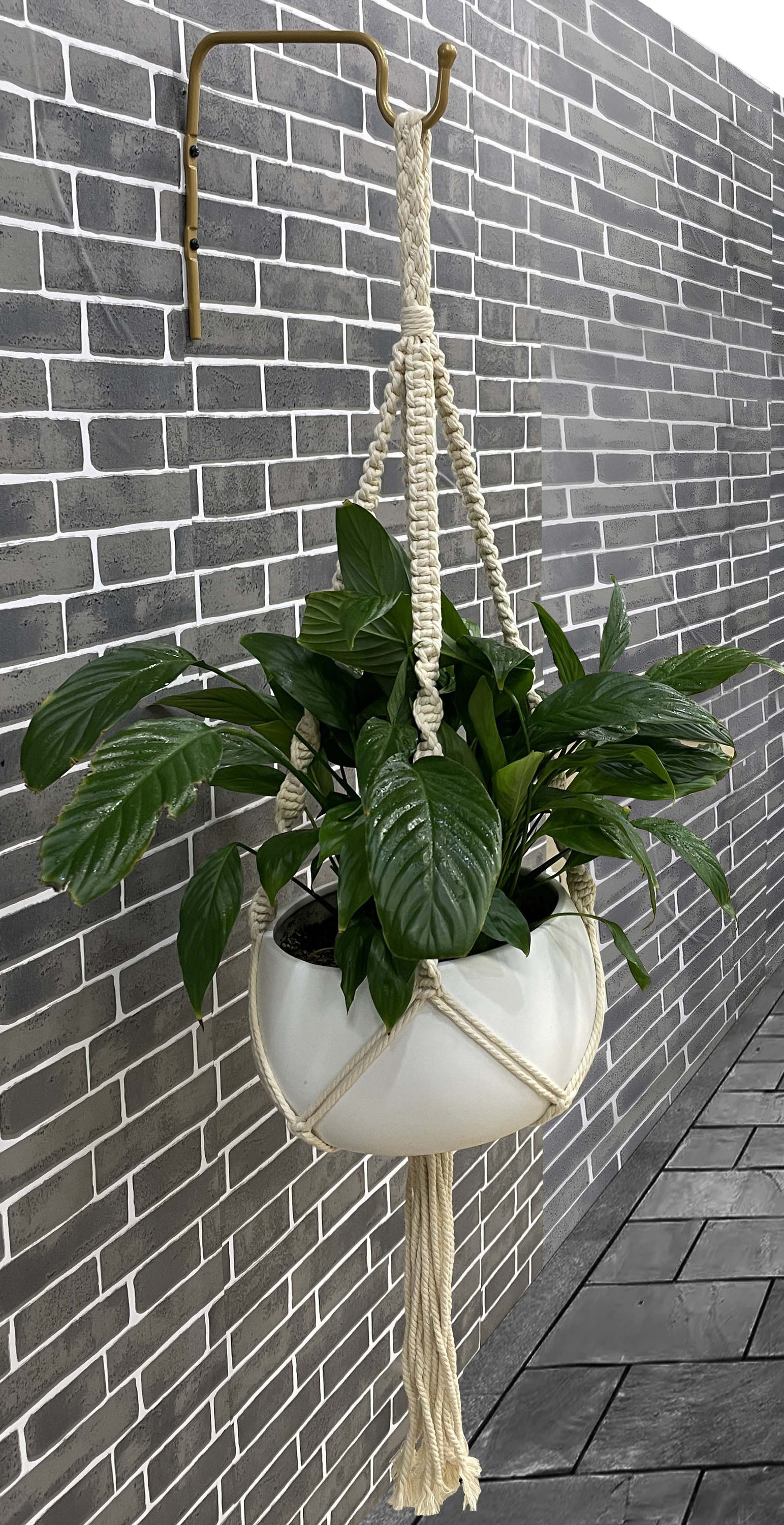Style Selections 8-in Gold Steel Traditional Plant Hook(s) in the Plant  Hooks department at
