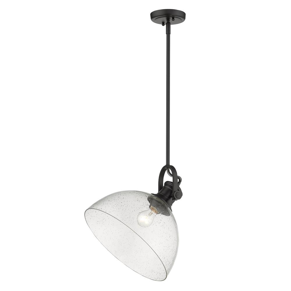 Black Steel and Glass Transitional Indoor/Outdoor Pendant Light