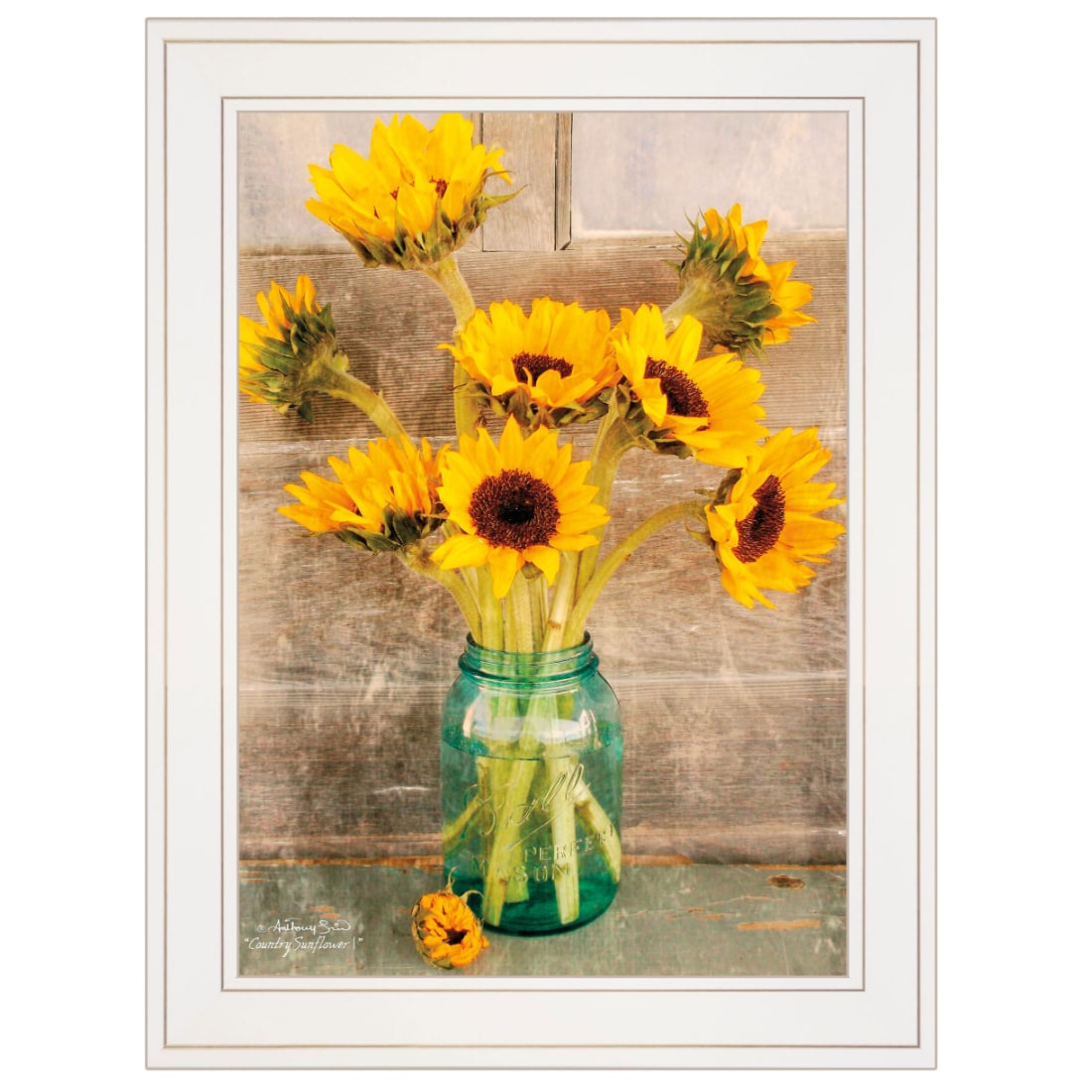 Wall Art Print, Sunflower Landscape in a Mason Jar