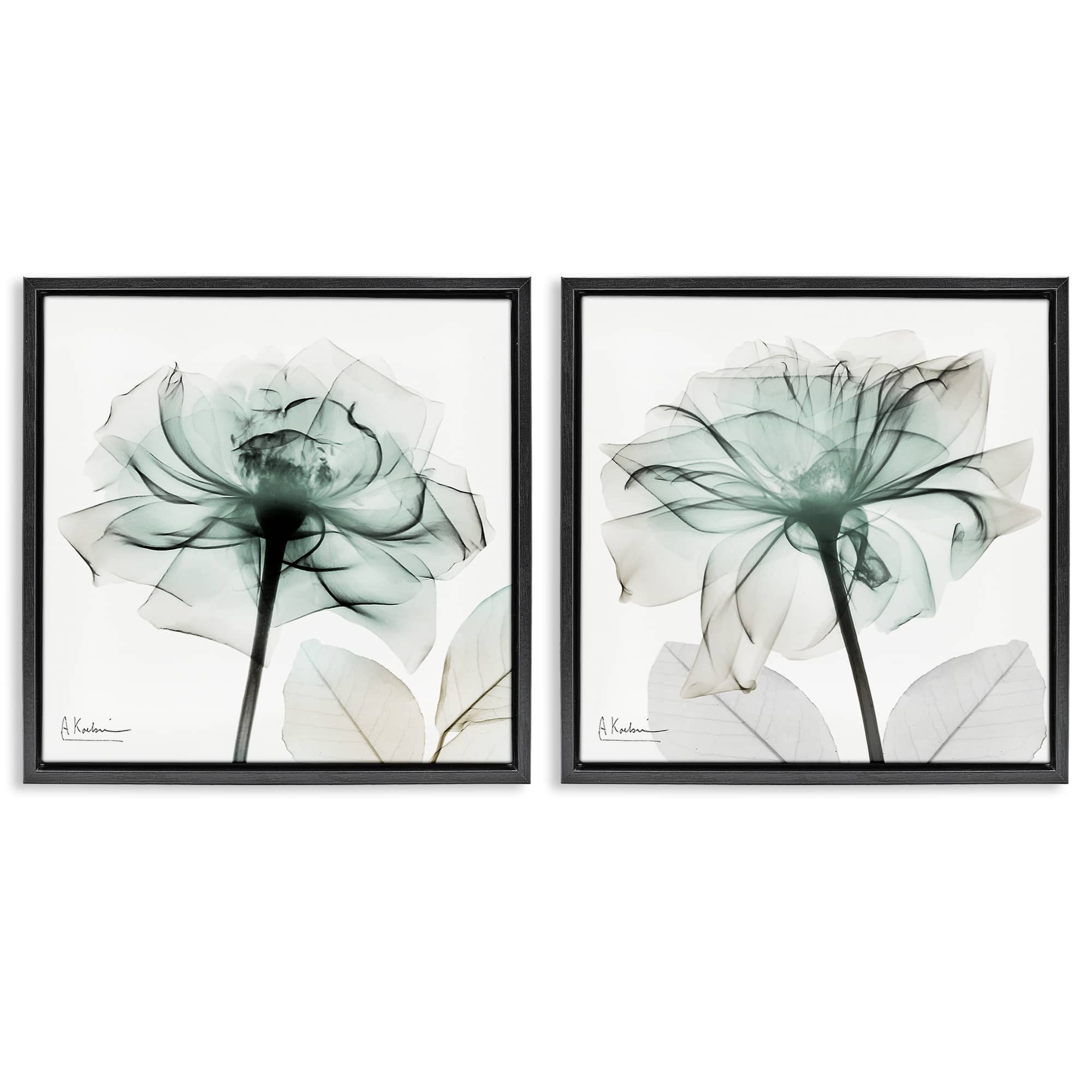 Stupell Industries B2-705-FFB-2PC-17X17 Serene Emerald Rose 2 Piece Black Framed Floater Canvas Set By Albert Koetsier 18 x 18