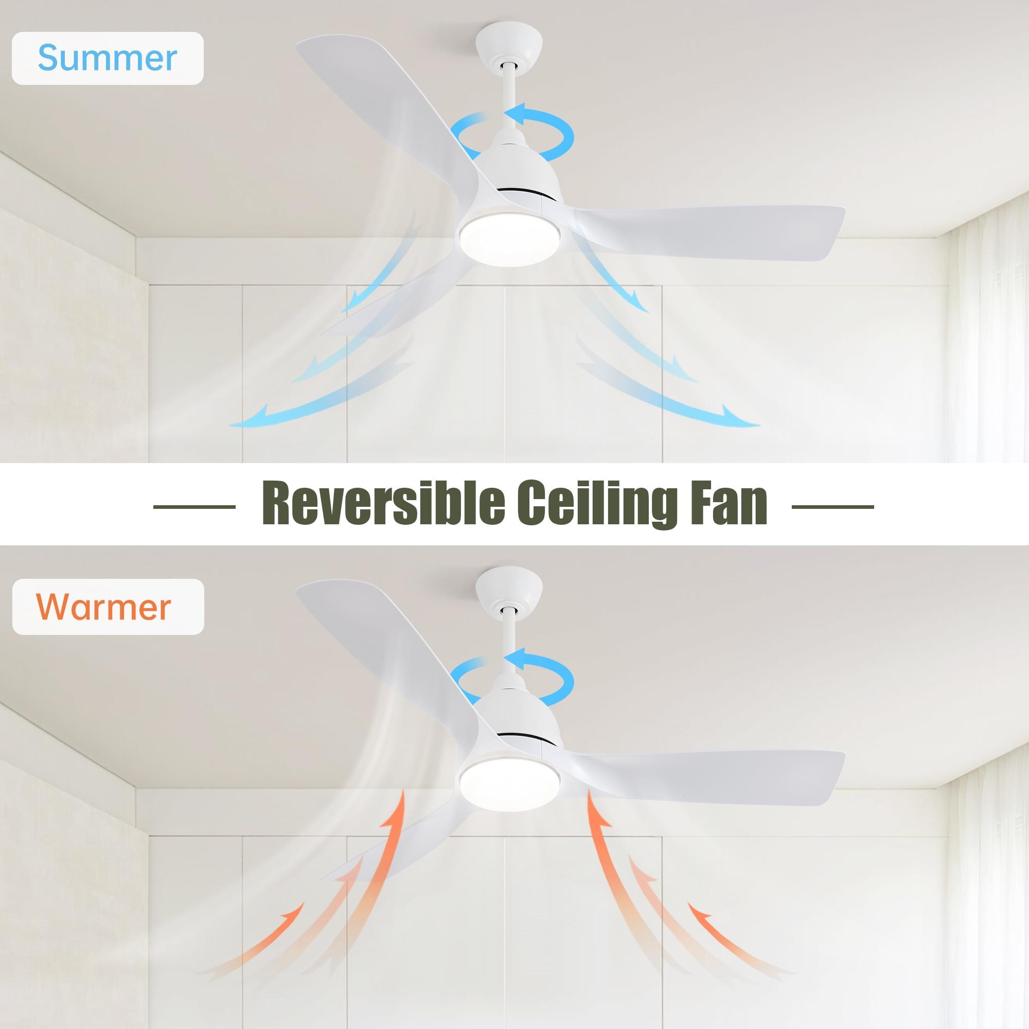 Bayfeve BFKS-40943-CF Ceiling-Fans - View #8