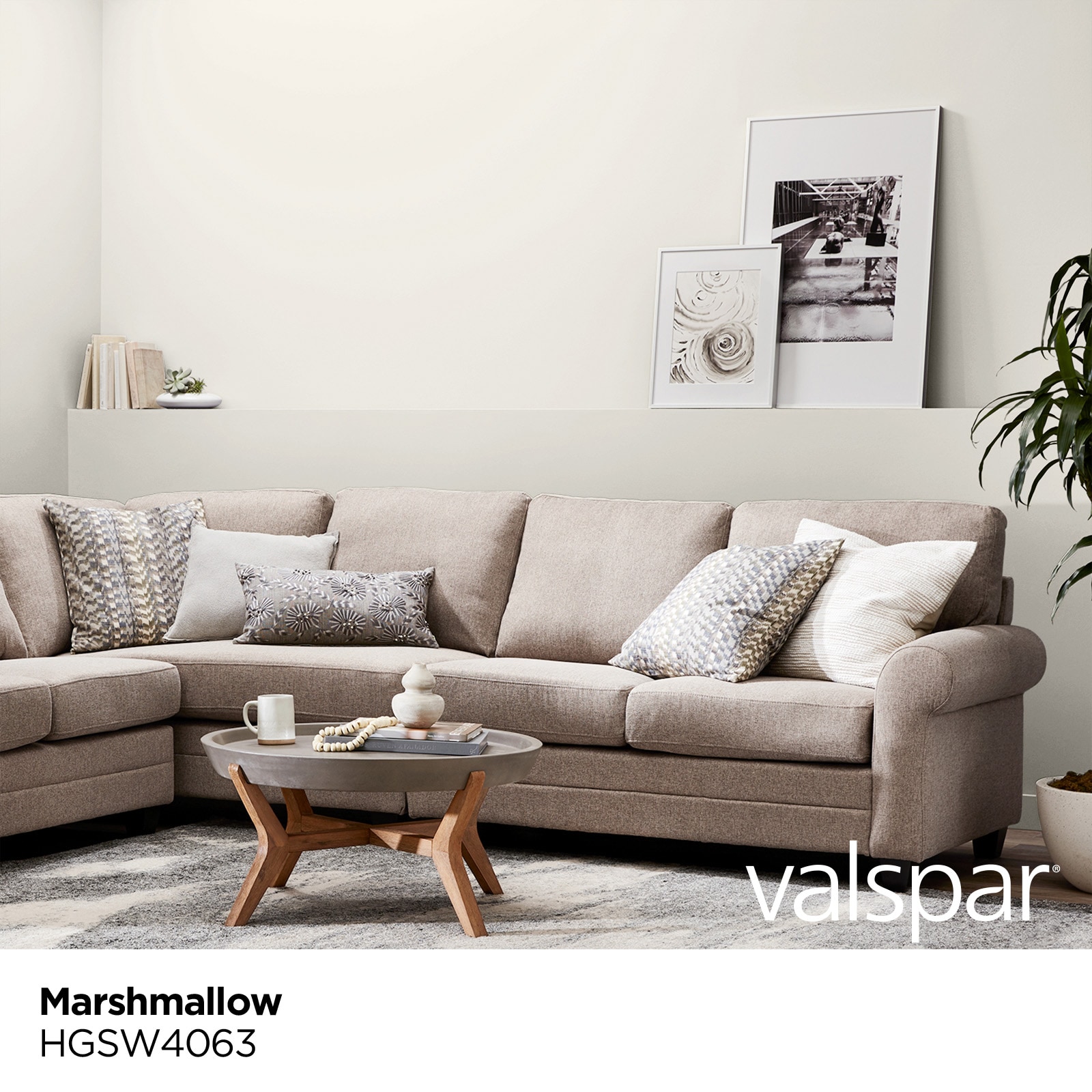 HGTV HOME by Sherwin-Williams HGSW4063 Paint-Samples - View #2
