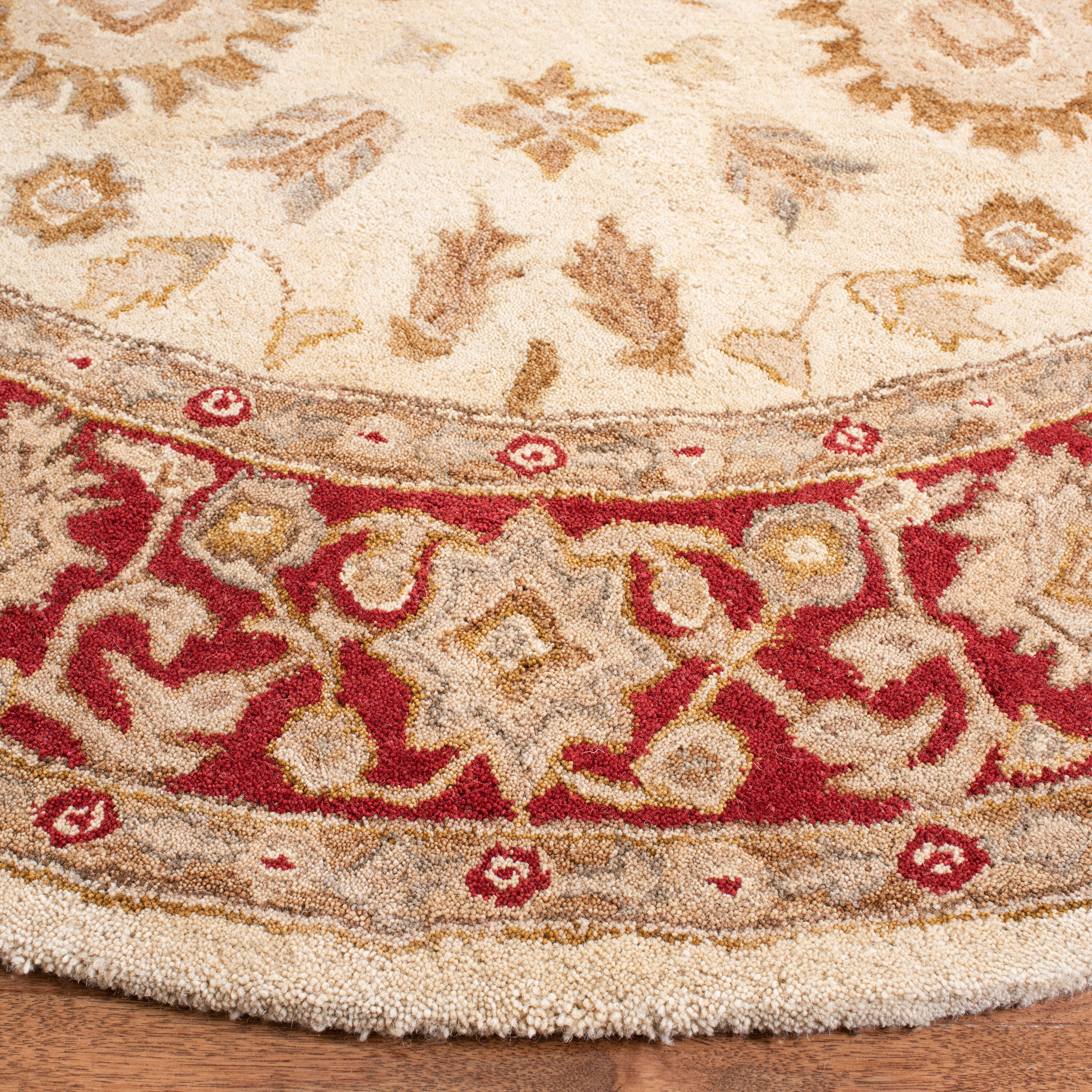 Safavieh AN551A-8R rugs - View #2