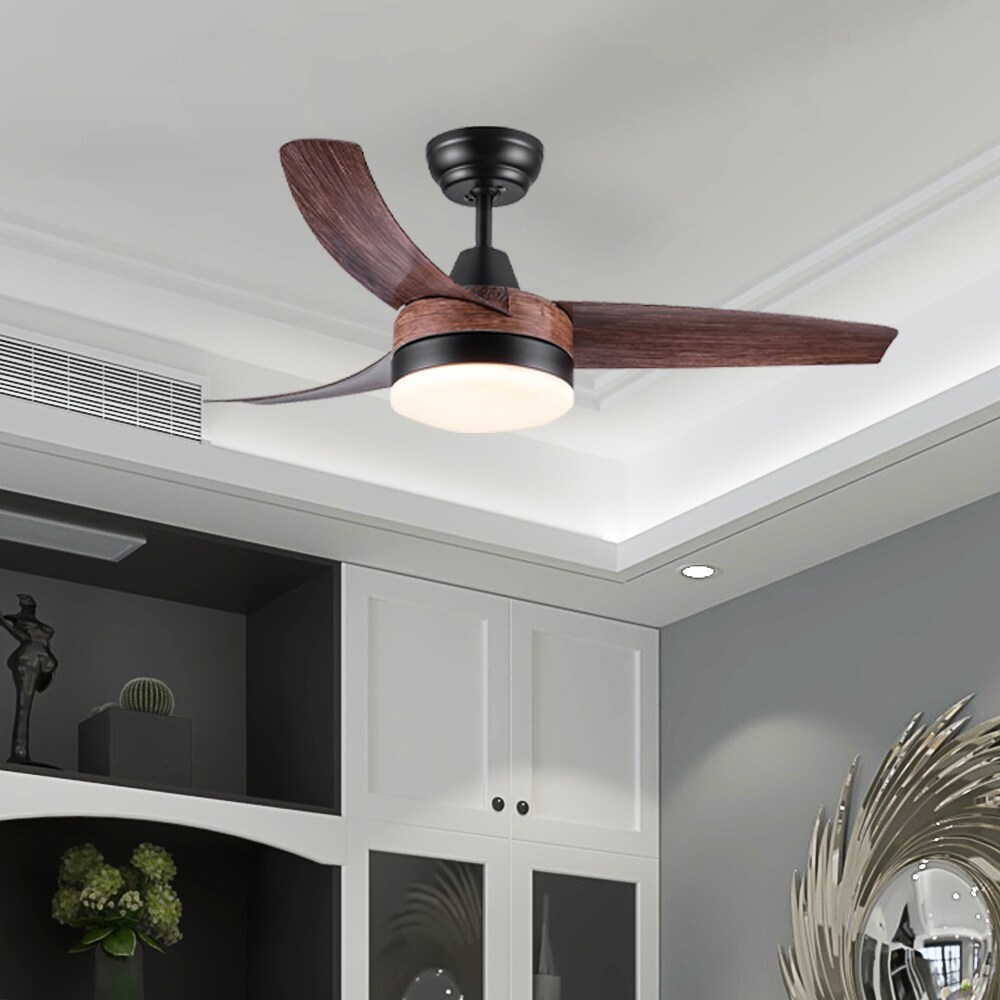 Sunrinx CF-39-DS Ceiling-Fans - View #11
