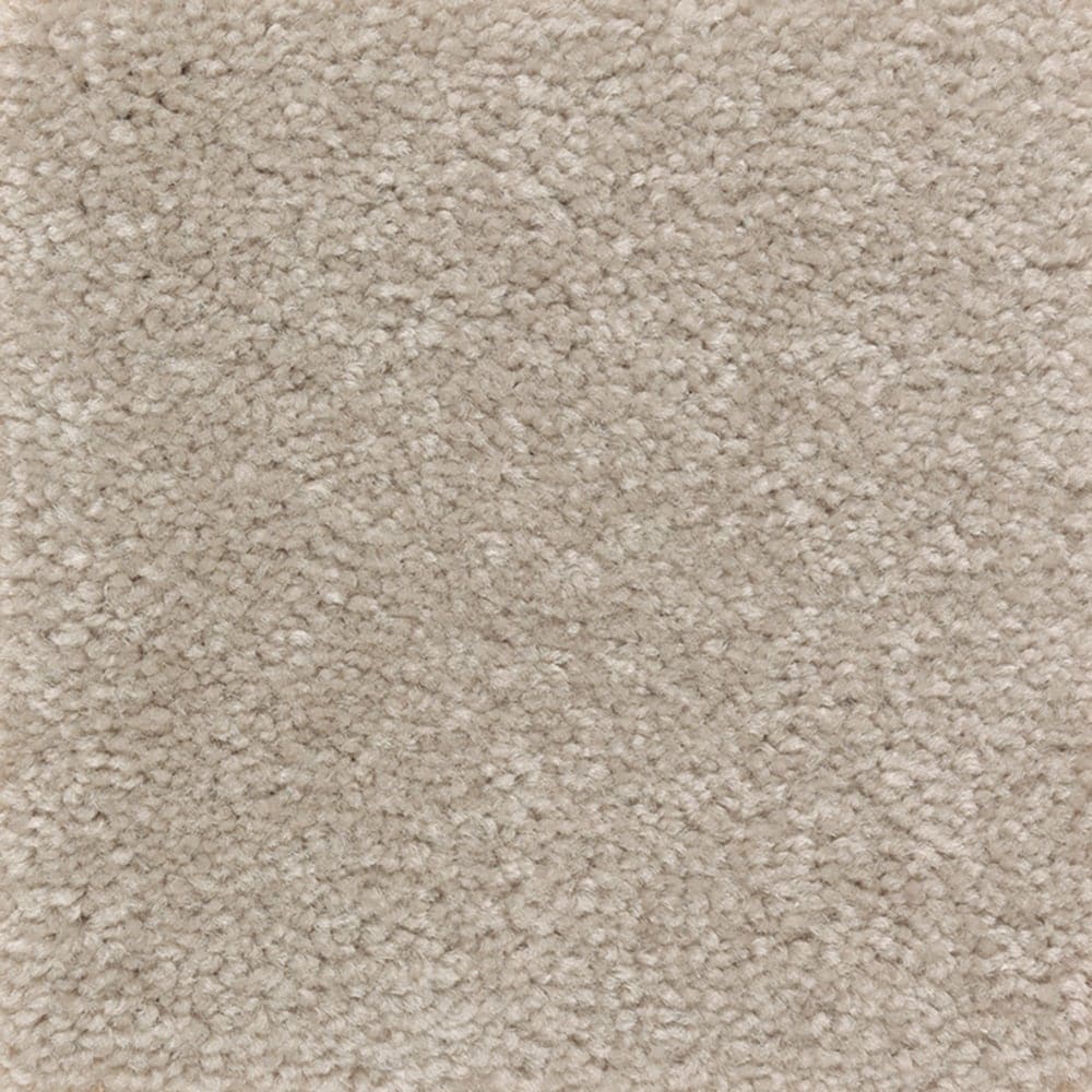 STAINMASTER PetProtect SS007-L010-0808 (Sample) Right Meow II Dreams Brown 48-oz sq yard Triexta Textured Indoor Carpet