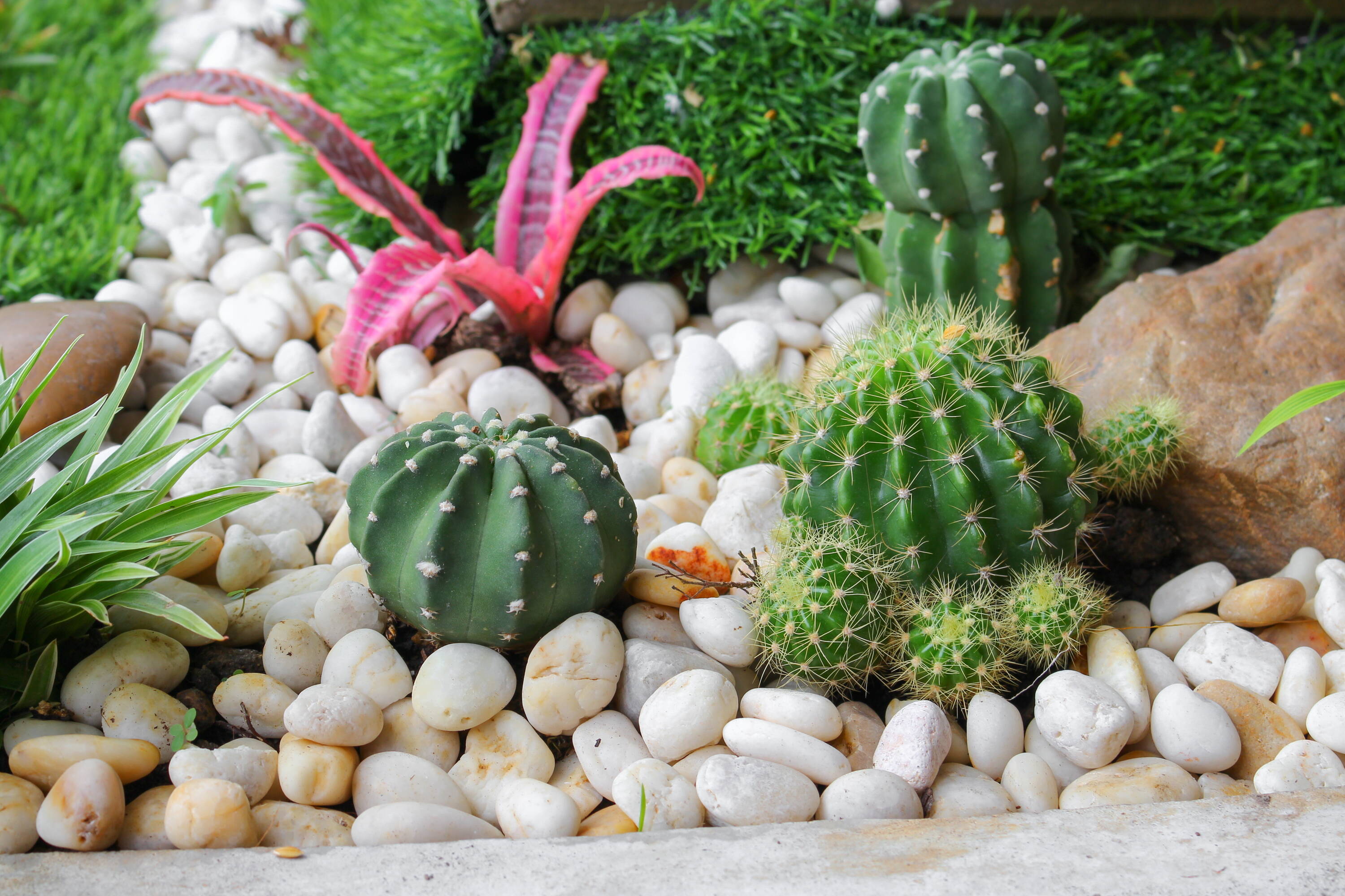 Yard Elements YDE003-0520 Landscaping-Rock - View #2