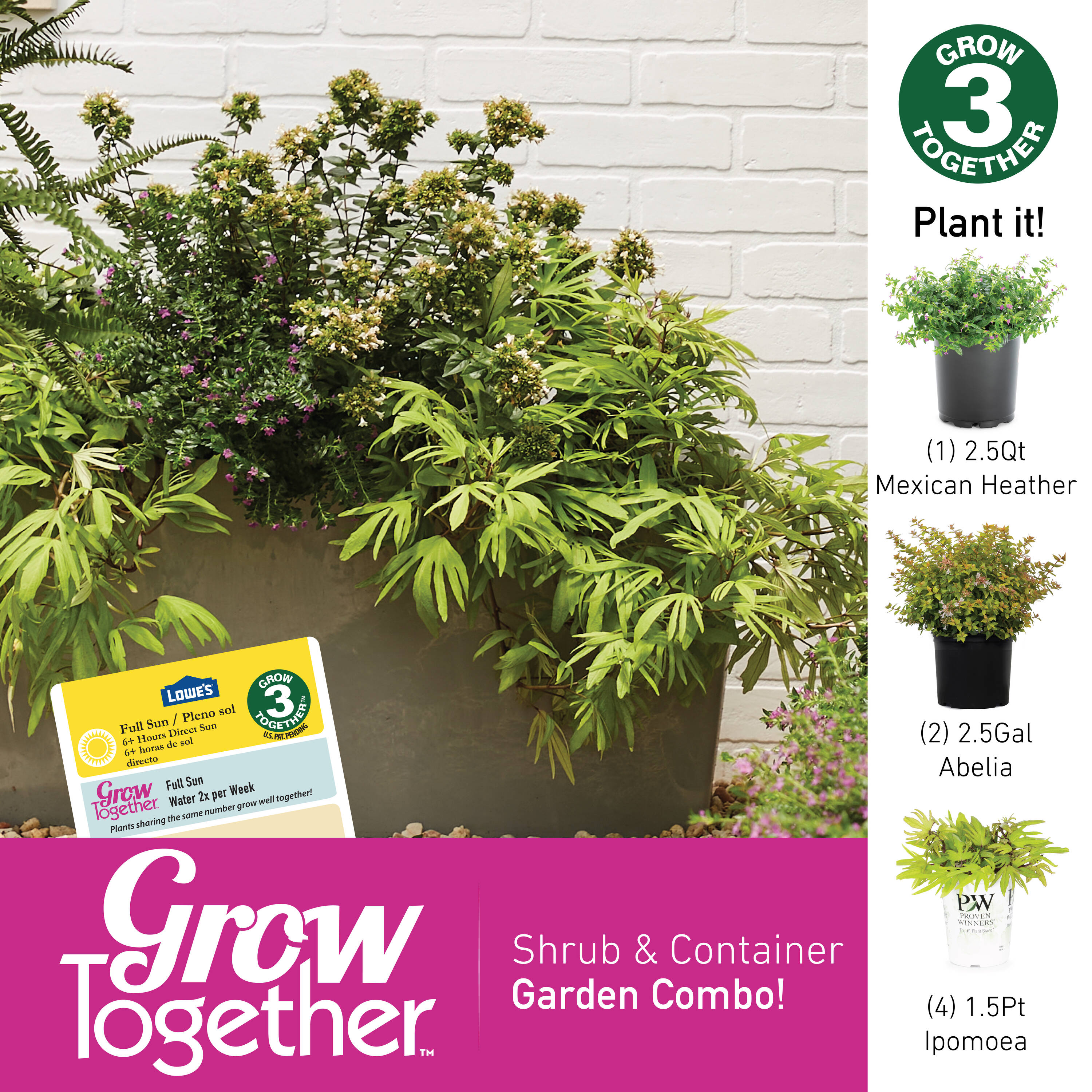 Lowe's 90639 annuals - View #4