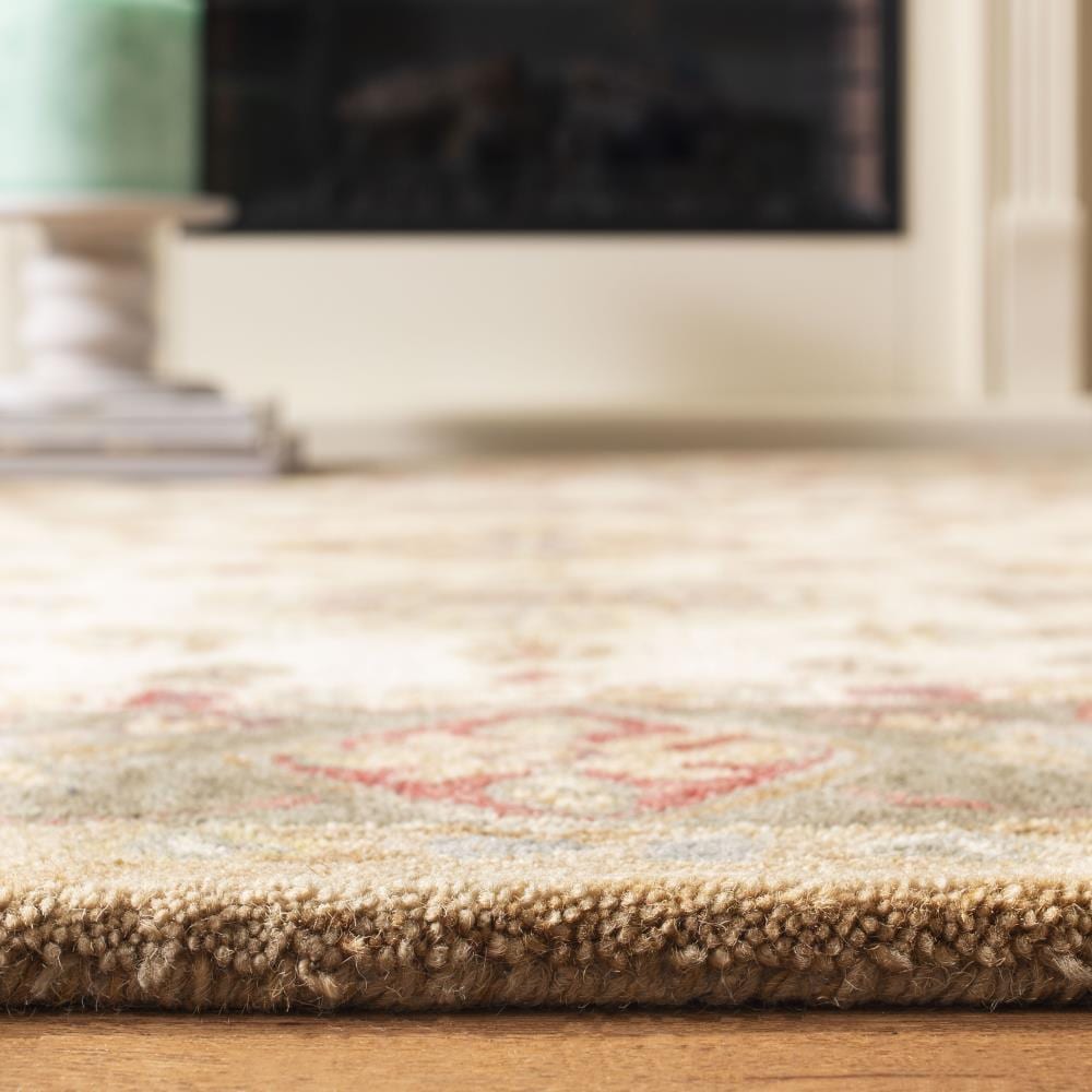 Safavieh AN547B-4 rugs - View #7