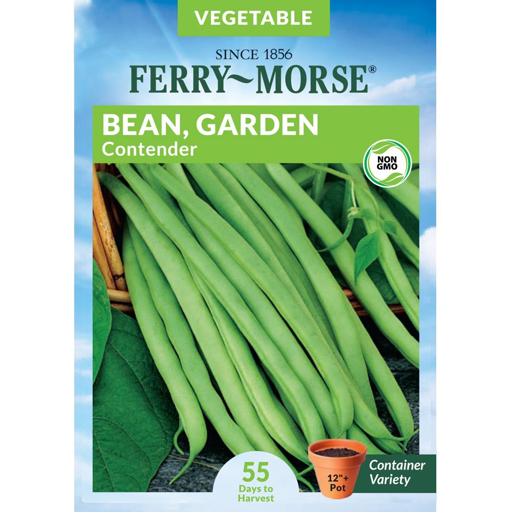 Ferry-Morse 24 Gram(s) Bean Contender Bush Vegetable (Seed Packet) in ...