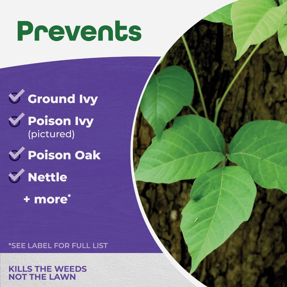 Bonide B07GBJFJQS Products 506 Poison Ivy and Oak Killer 32-Ounce