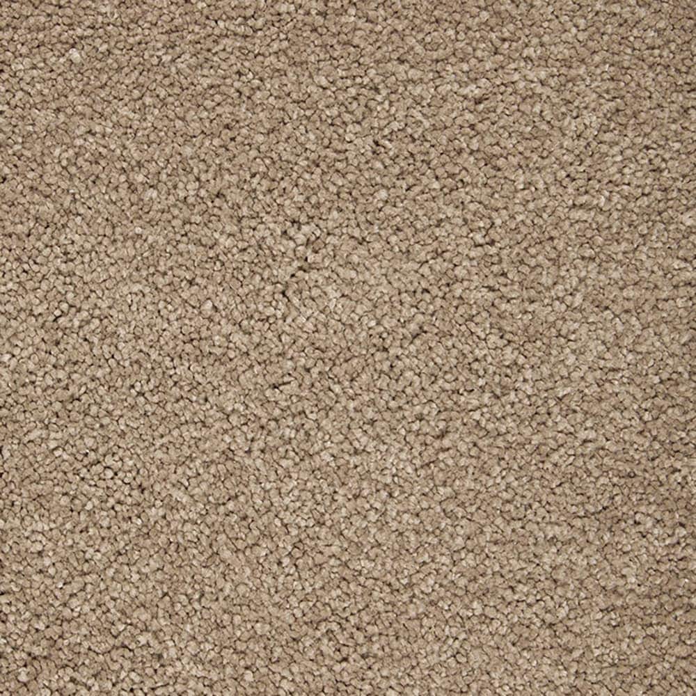 STAINMASTER PetProtect STP54-L021-0808 (Sample) Beau Dacious Midsummer Lights Brown 48-oz sq yard Triexta Textured Indoor Carpet
