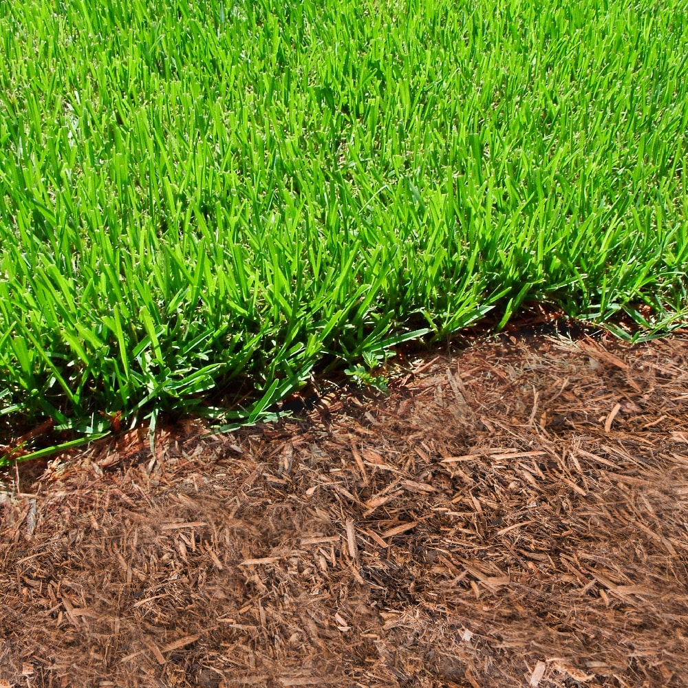  M2CYP-HL Bagged-Mulch - View #17
