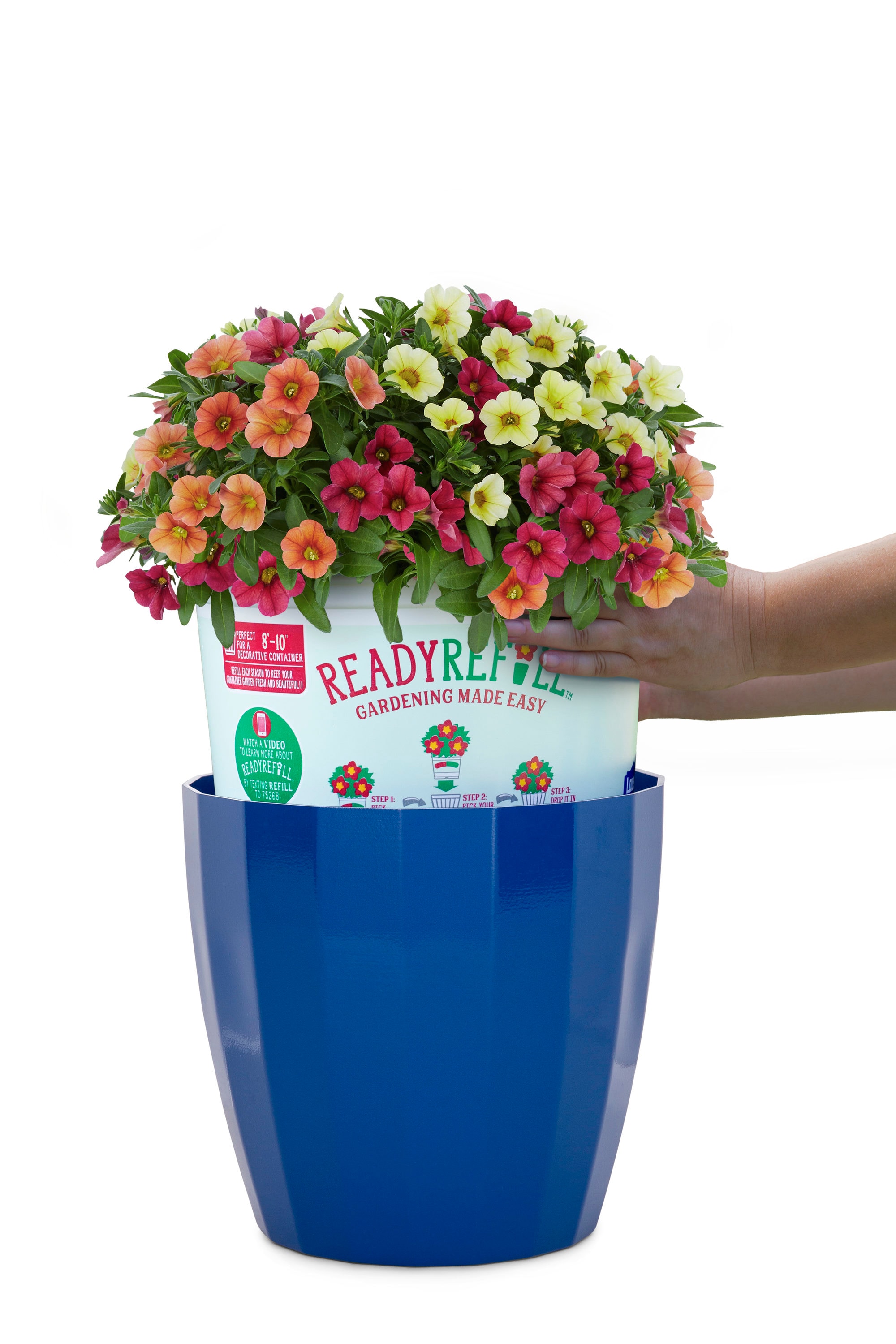 Ready Refill NURSERY annuals - View #3