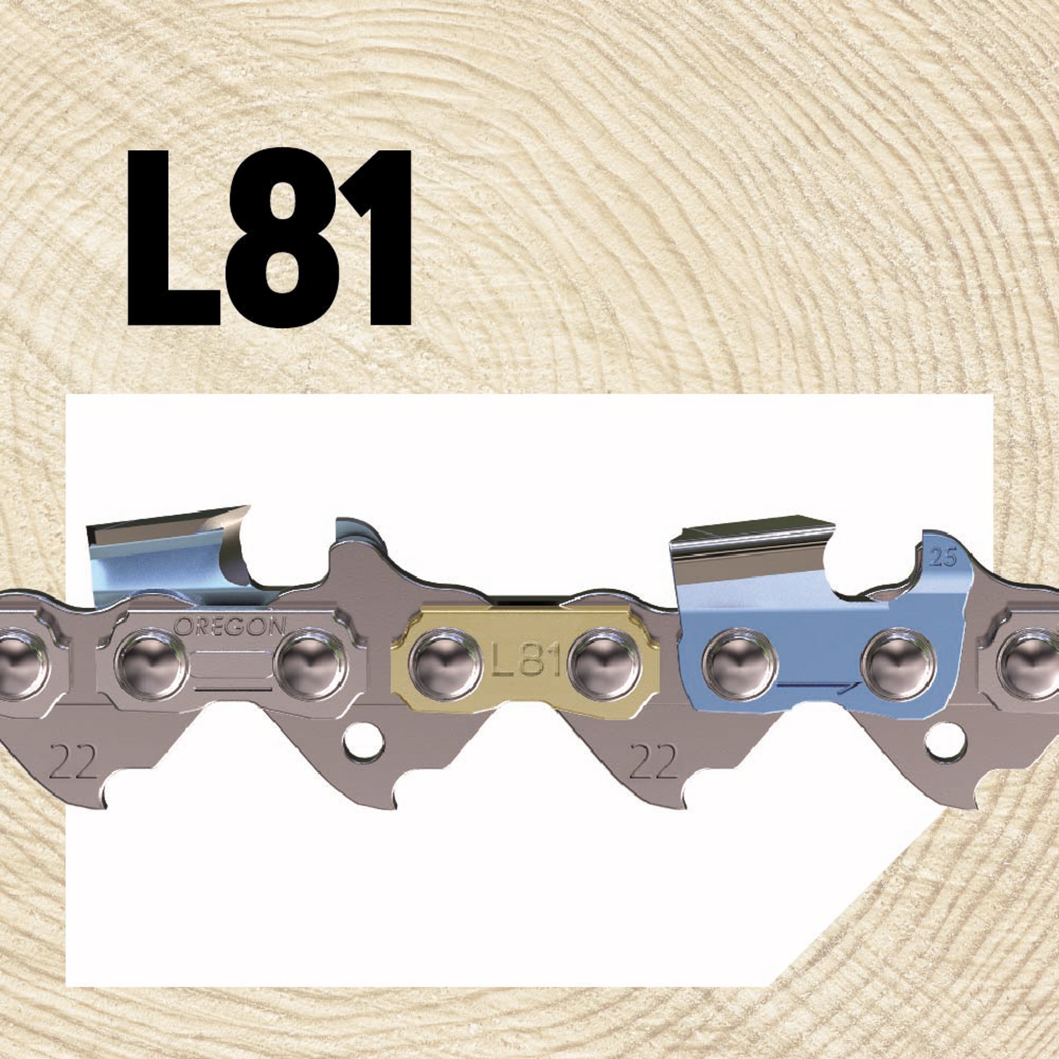 Oregon 8-in 34 Link Replacement Chainsaw Chain | R34-21