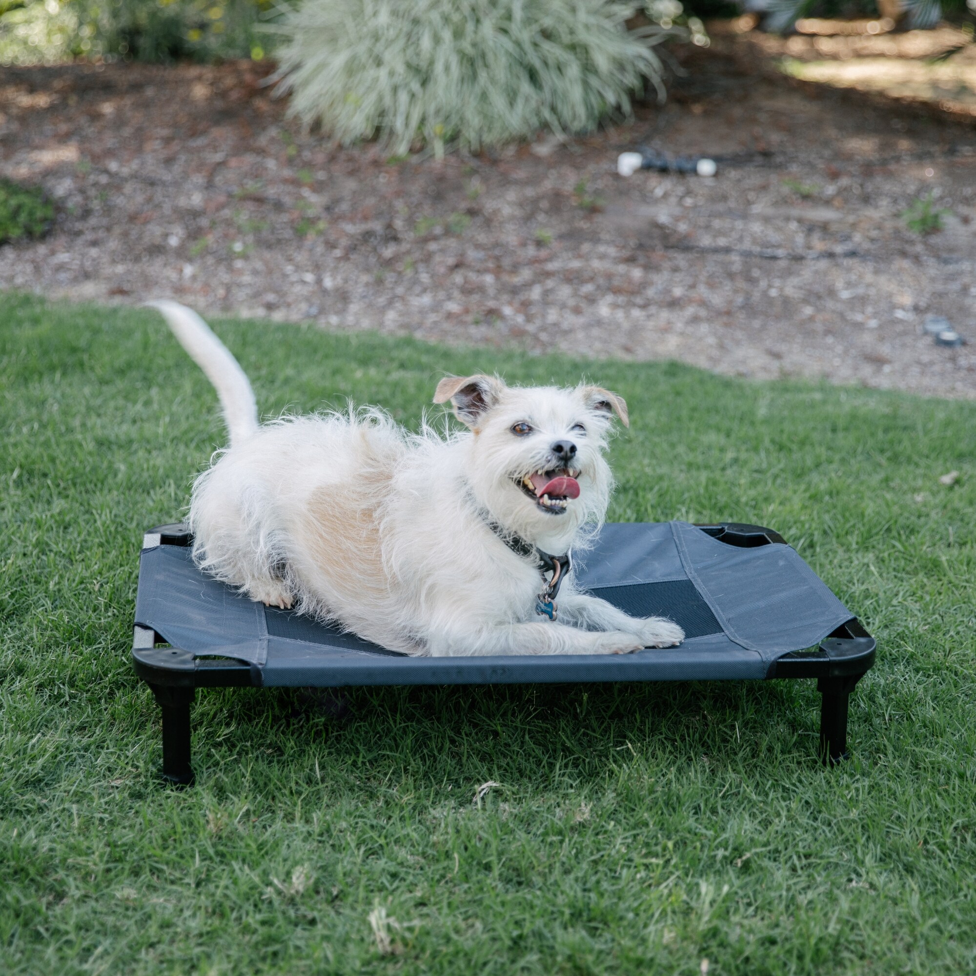 Lucky Dog CMB10130-ZE0310 Pet-Beds - View #8