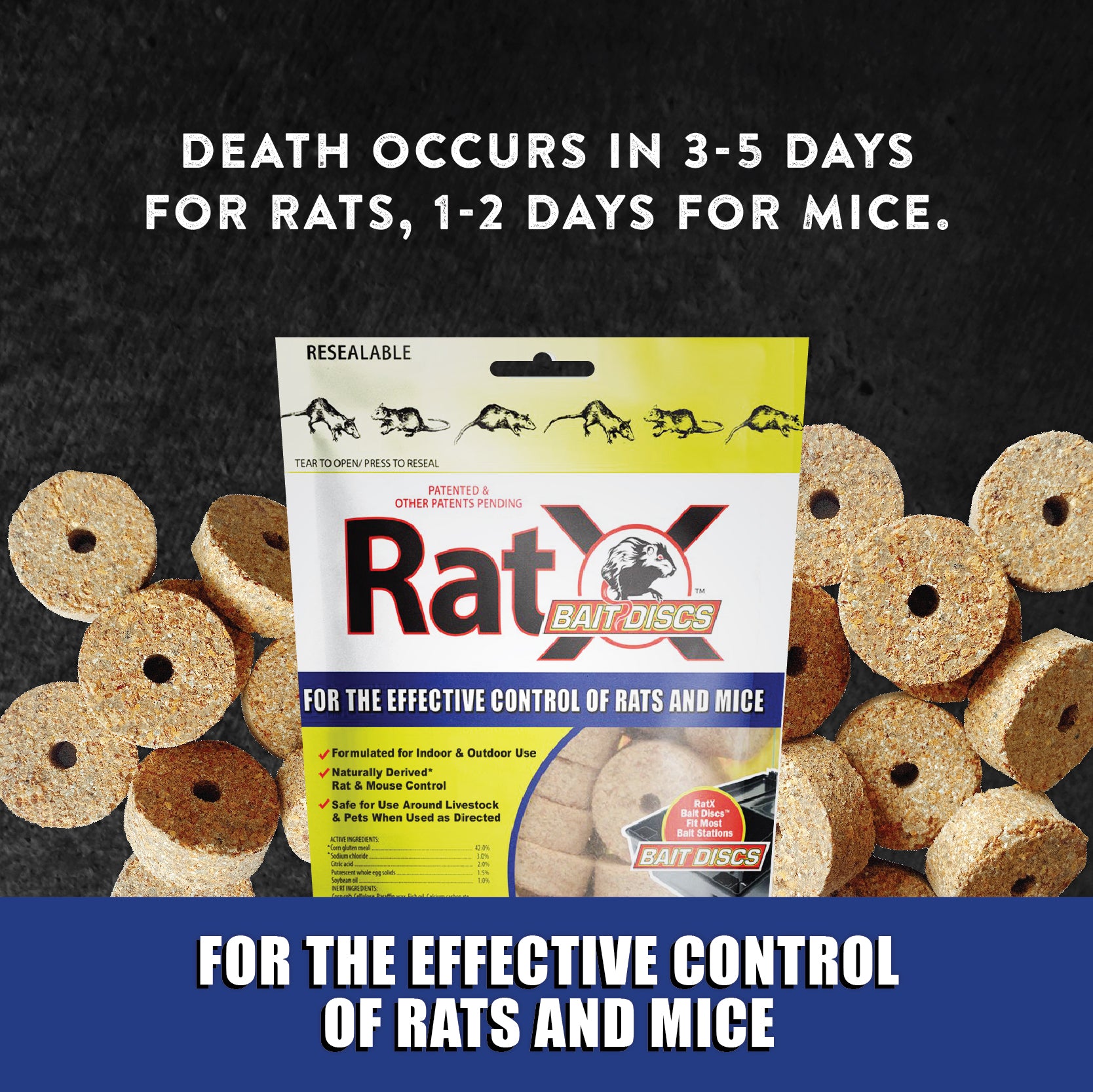 RatX 620118 Animal-Rodent-Control - View #4