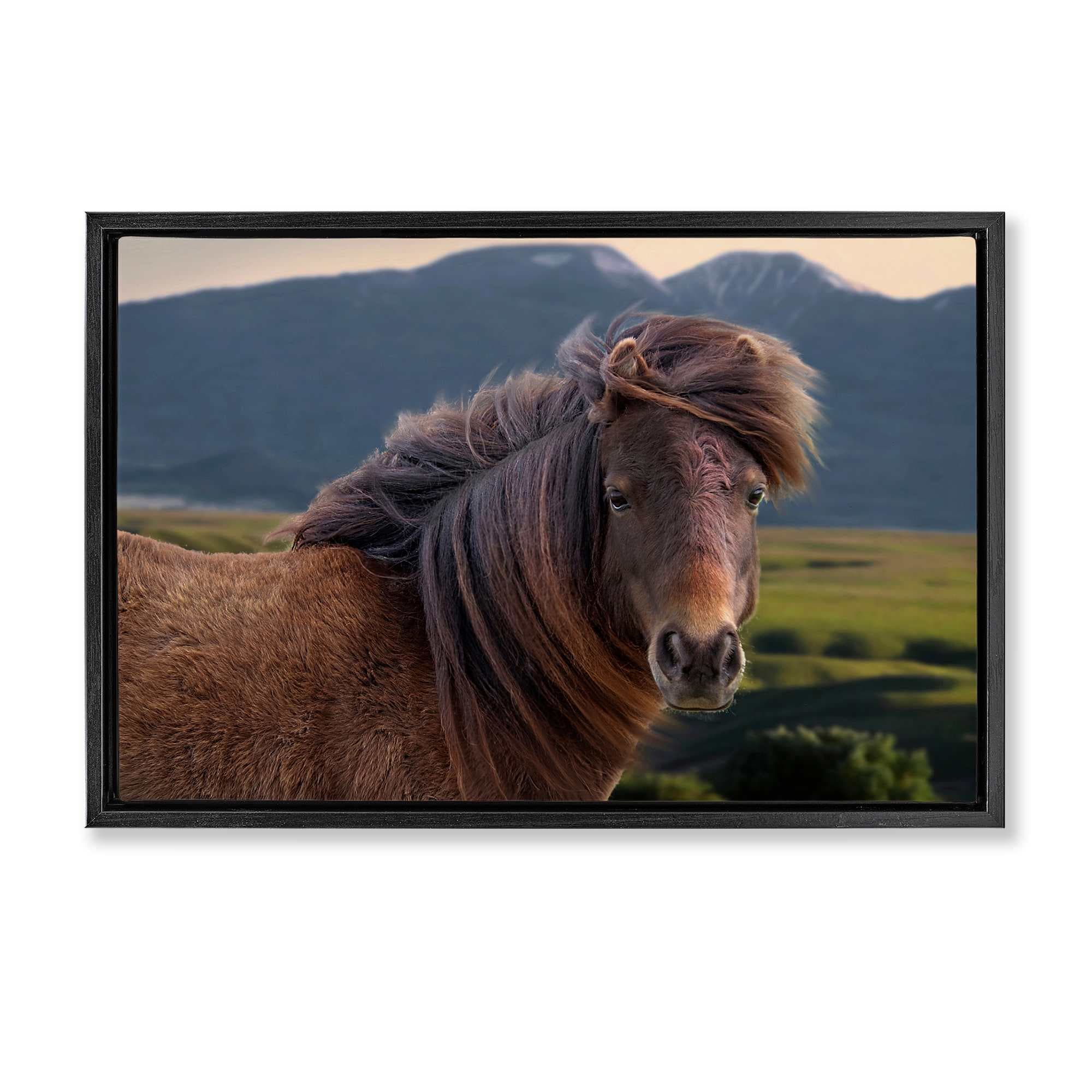 Stupell Industries BT-331-FFB-16X24 Windblown Mare in Mountain Valley Floating Frame design by Steve Toole