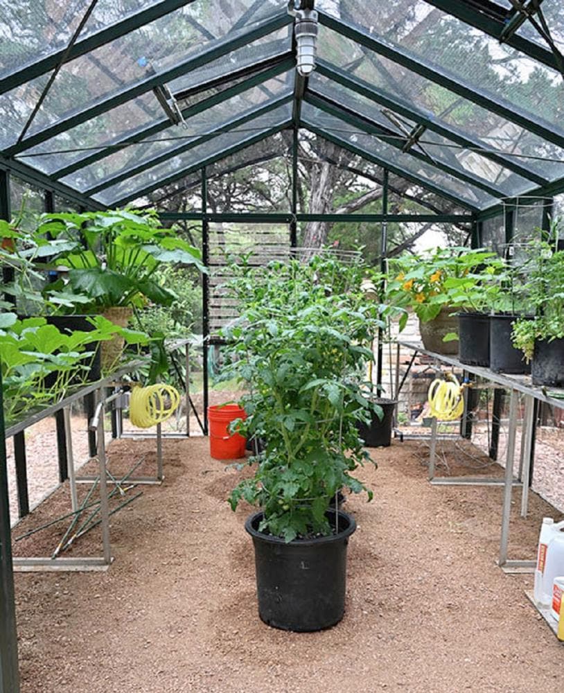 Janssens VI 34 GG greenhouses - View #4
