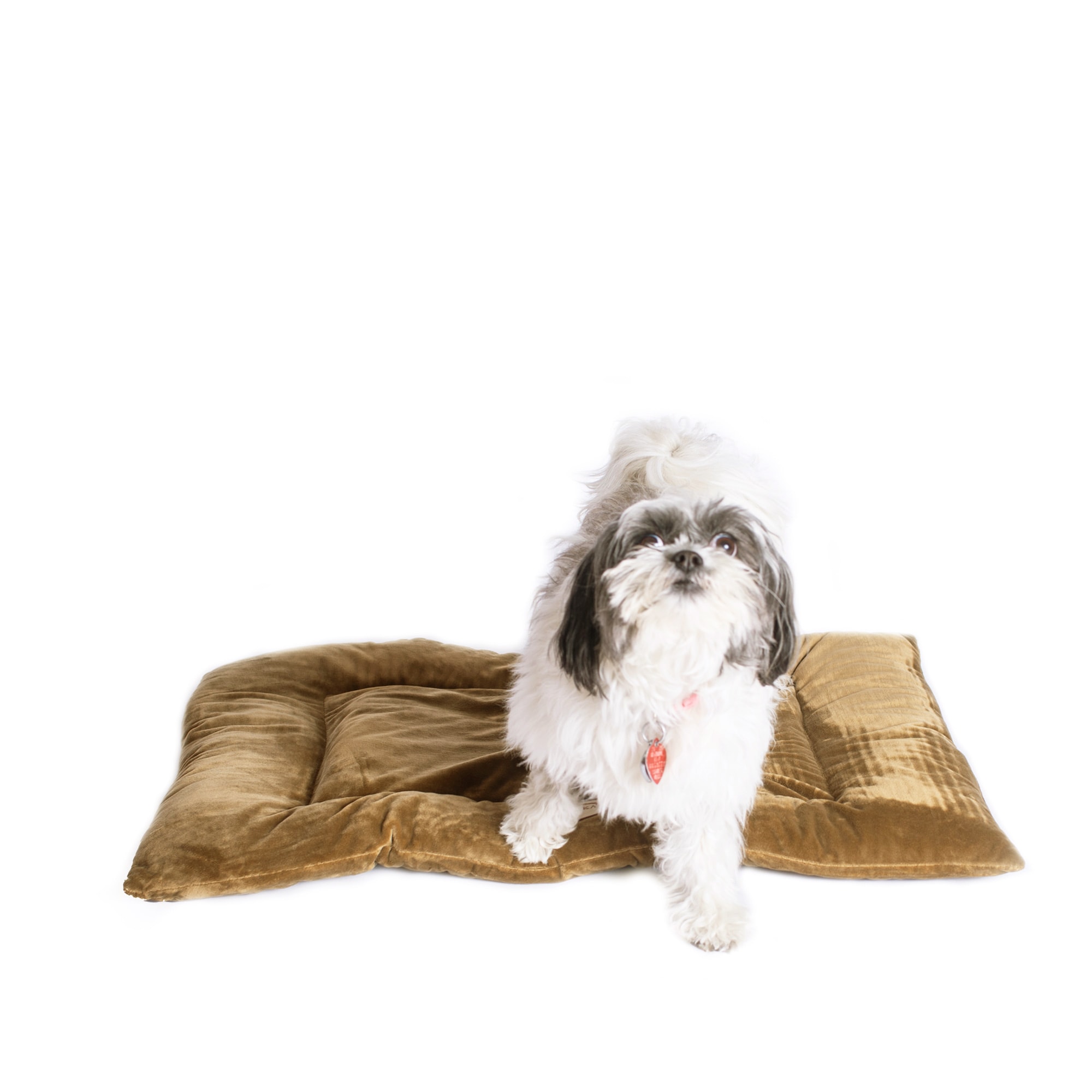 Armarkat M01CHL-M Pet-Beds - View #3