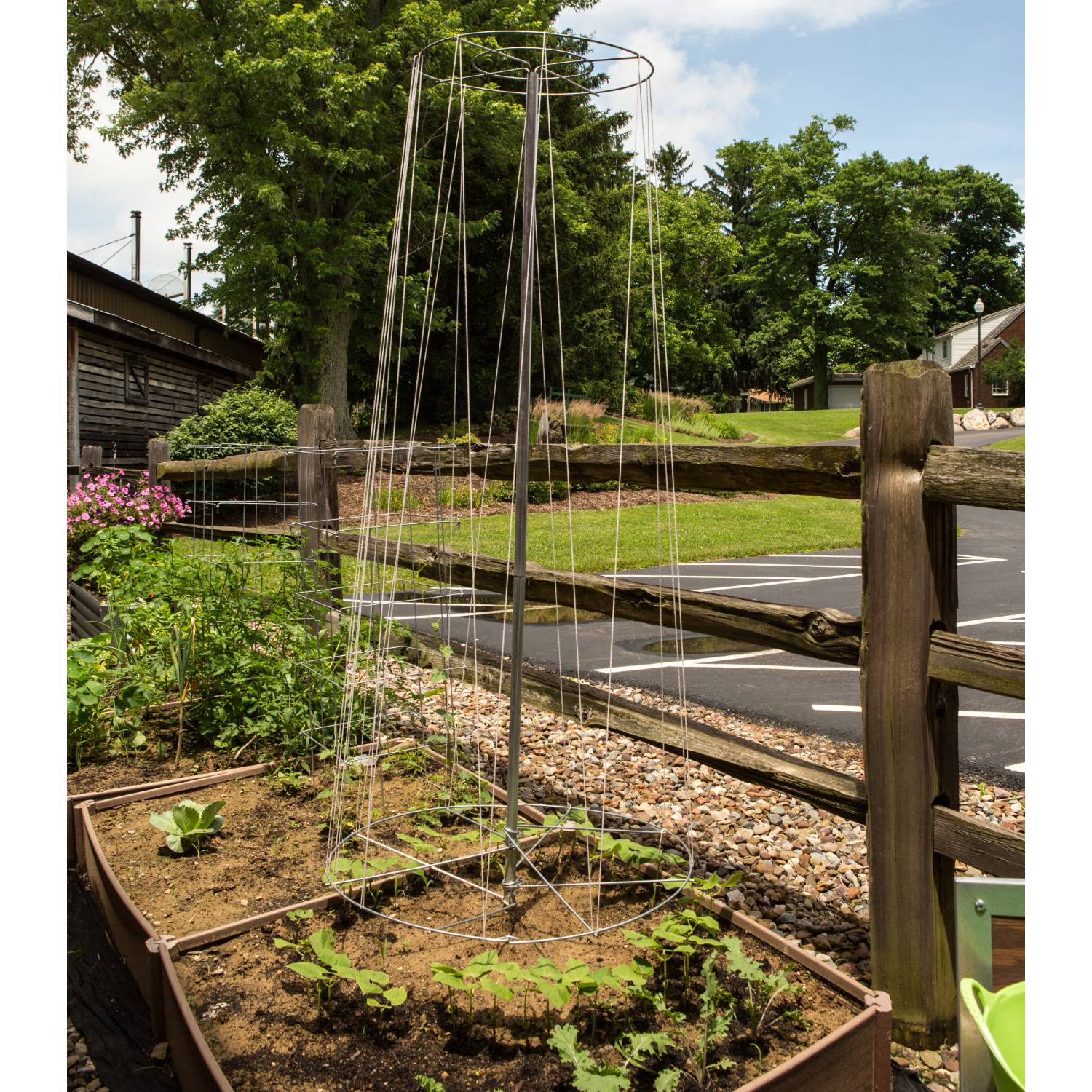 Lehman's 1247125 Bean Tower - Efficient Vertical Planting System for Beans - Peas and Climbing Plants - Space-Saving - Durable - Easy to Assemble Garden Trellis - 6 3 inch H