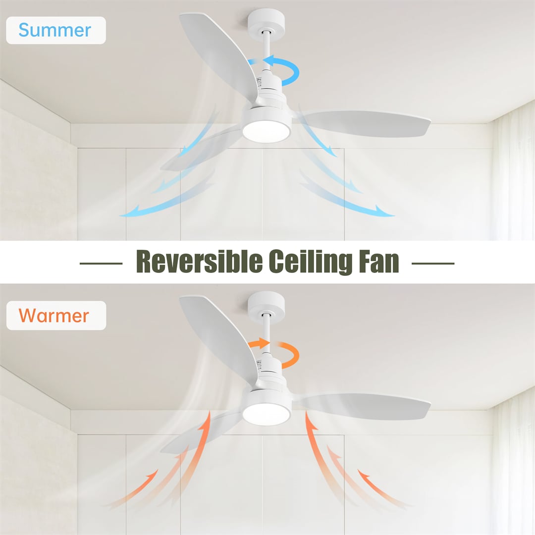 Sofucor LS-52K076-WH-WH-60 Ceiling-Fans - View #3