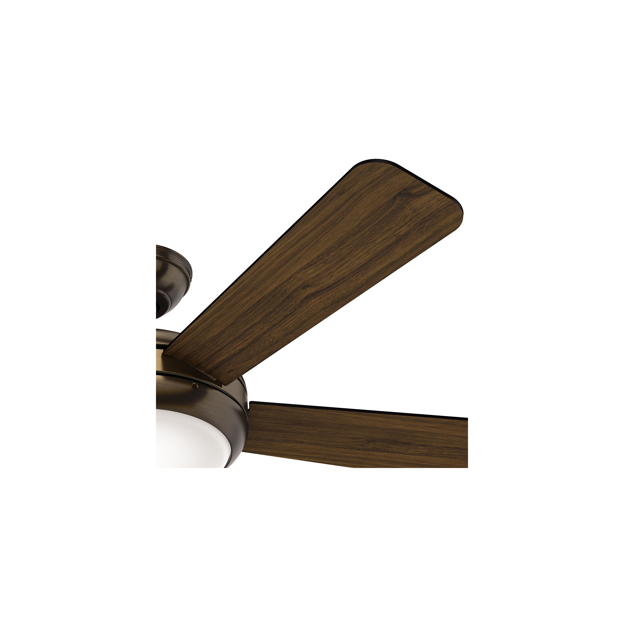 Hunter 59134 Ceiling-Fans - View #6