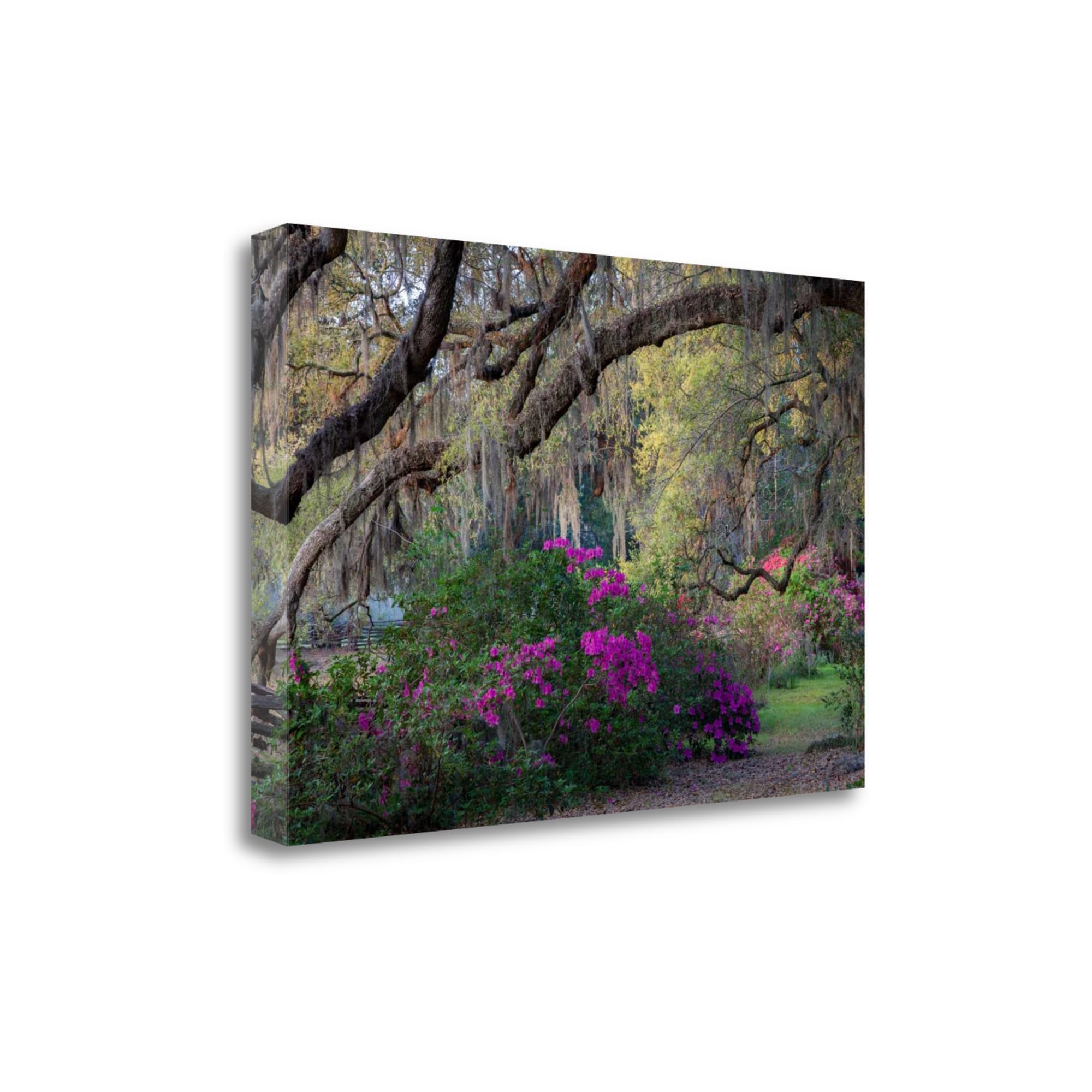 Tangletown Fine Art ICH1172D-3724C 24-in H x 37-in W Landscape Print on Canvas