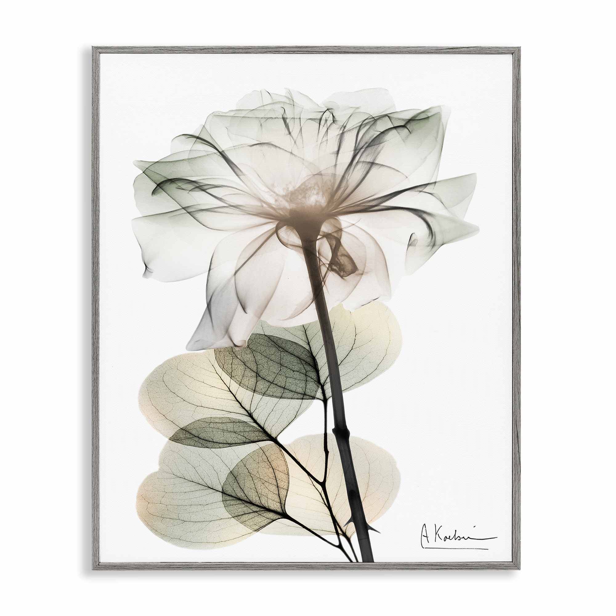 Stupell Industries BS-011-GFF-16X20 Modern Minimalist Buds Gray Framed Giclee Art By Albert Koetsier 16 x 20
