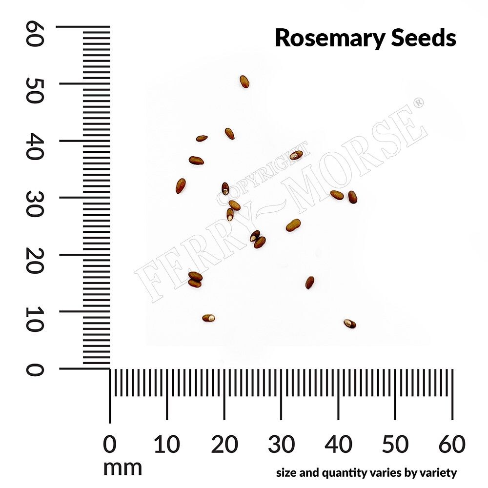 Ferry-Morse LC25.9565 Vegetable-Herb-Seeds - View #4